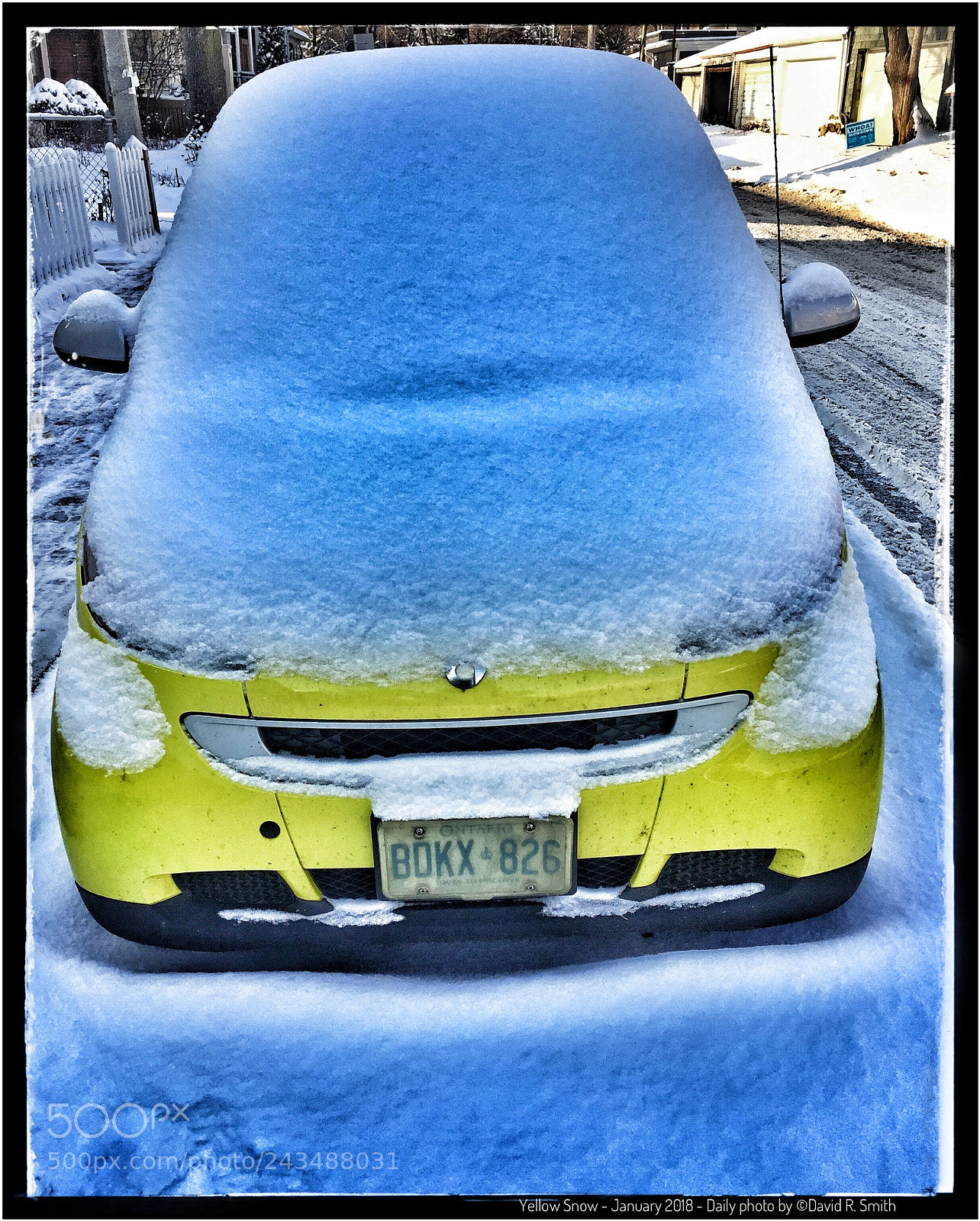 Apple iPhone 6 Plus sample photo. Yellow snow - daily photography