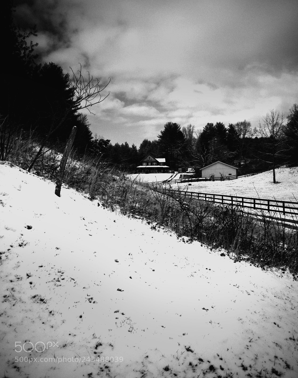 Nikon D5000 sample photo. The cold house photography