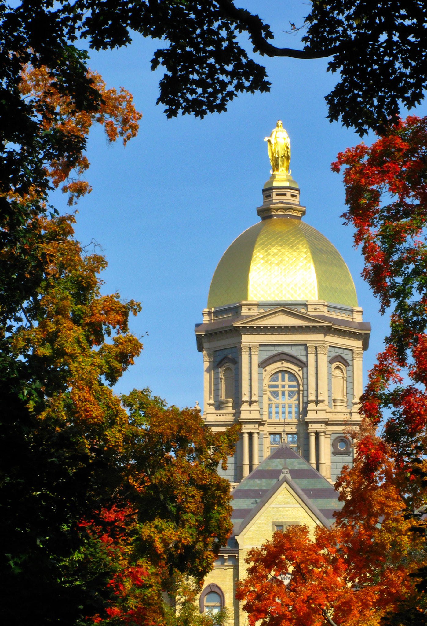 Canon POWERSHOT SX100 IS sample photo. Golden dome in fall photography