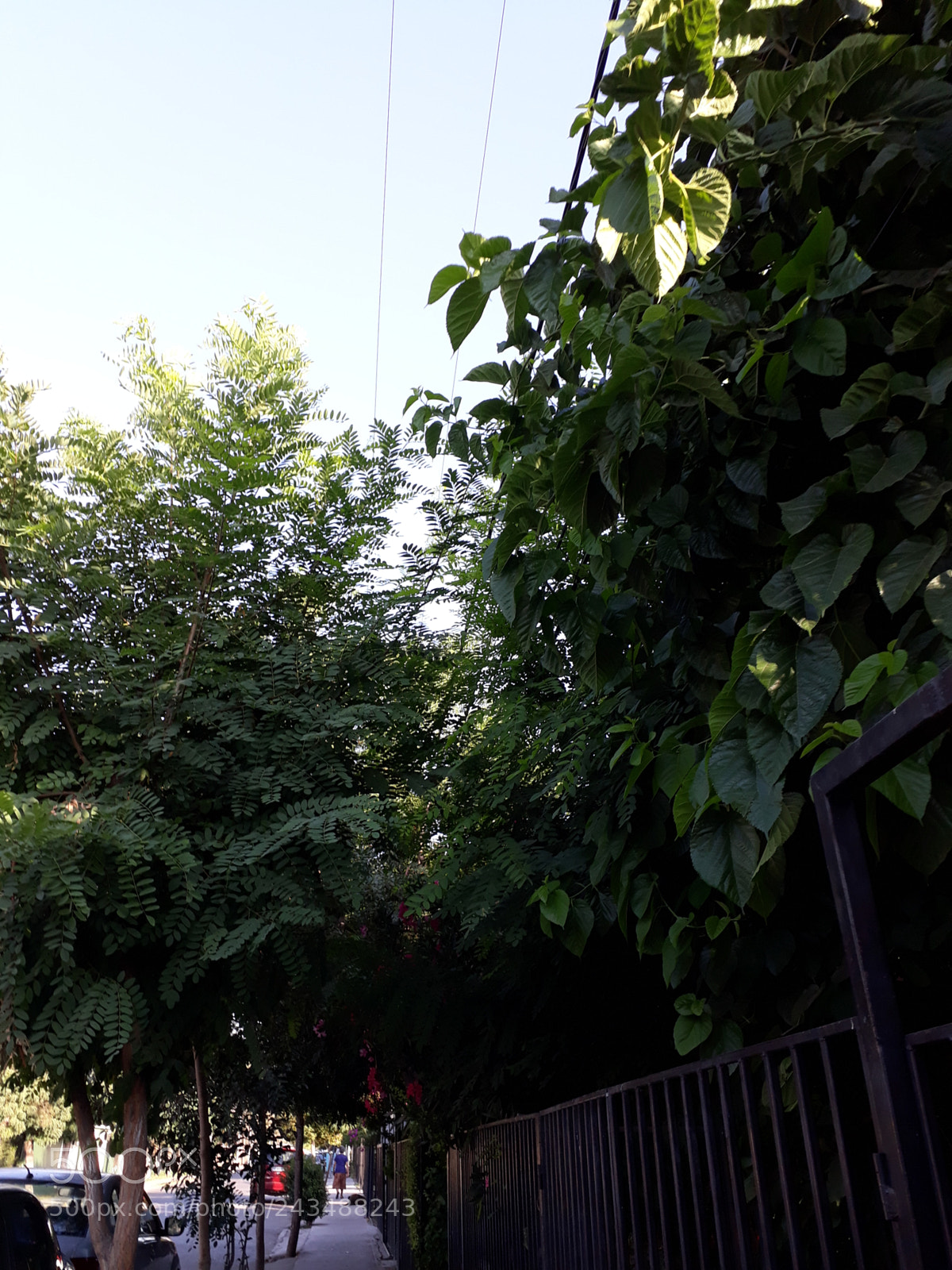 Samsung Galaxy J7 Prime sample photo. Untitled photography