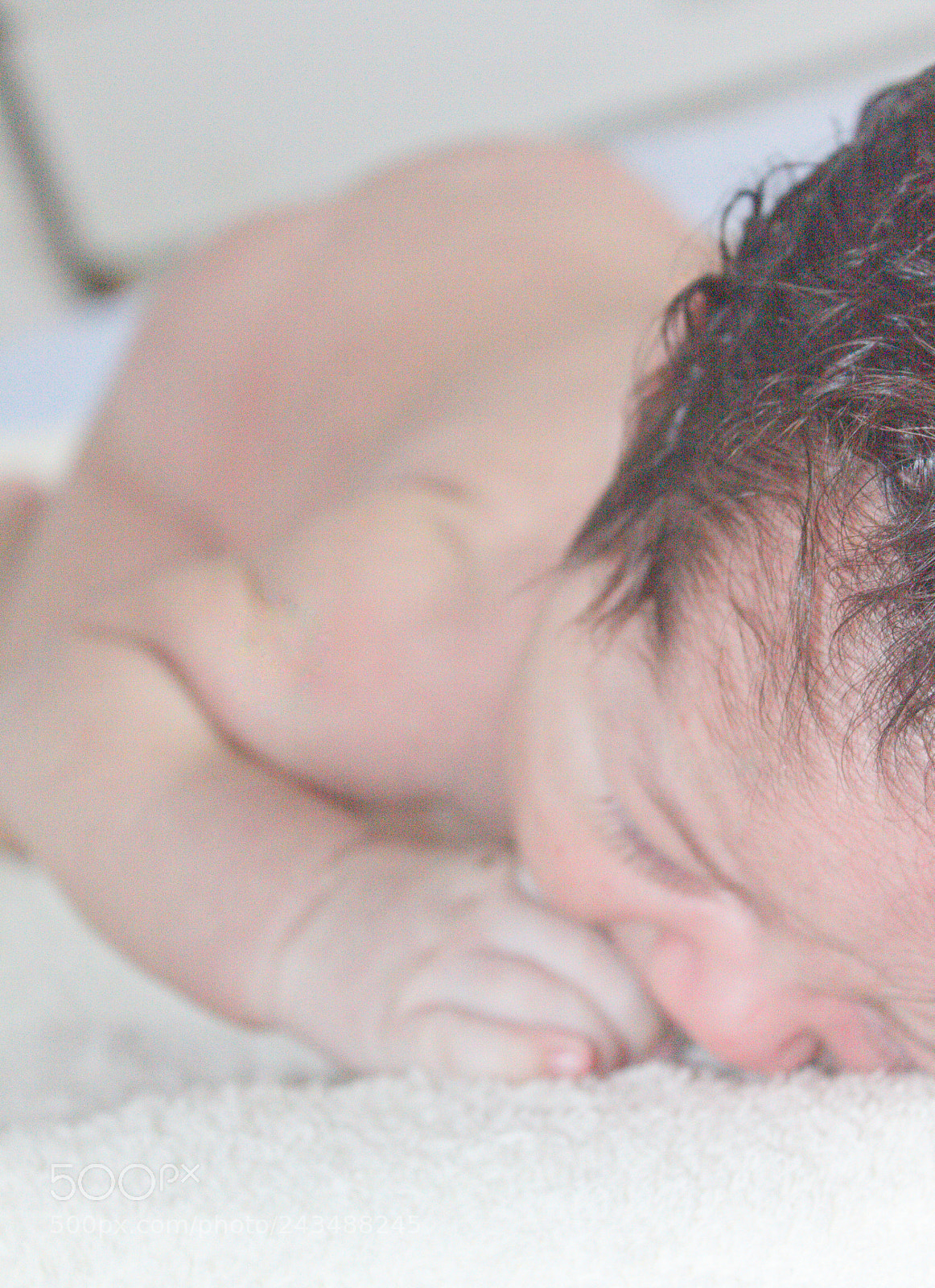 Canon EOS 50D sample photo. Untitled photography