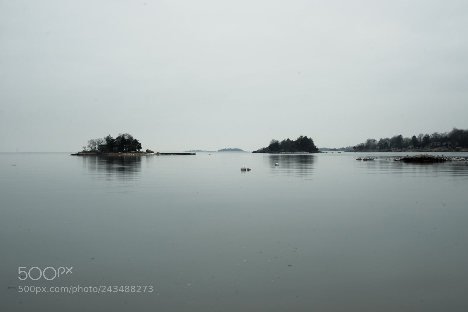Sony a6300 sample photo. Horse island in winter photography