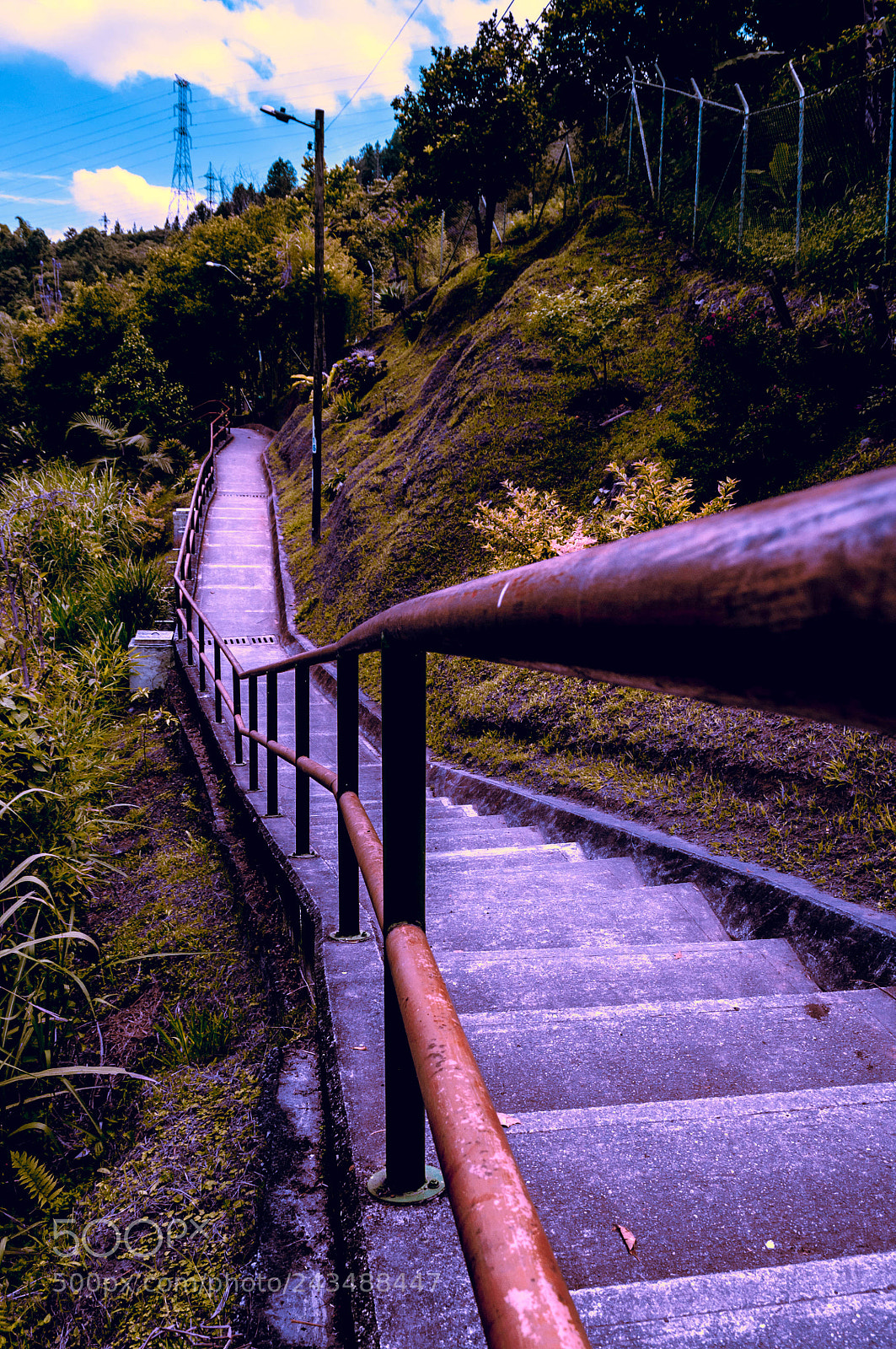 Nikon D90 sample photo. Untitled photography