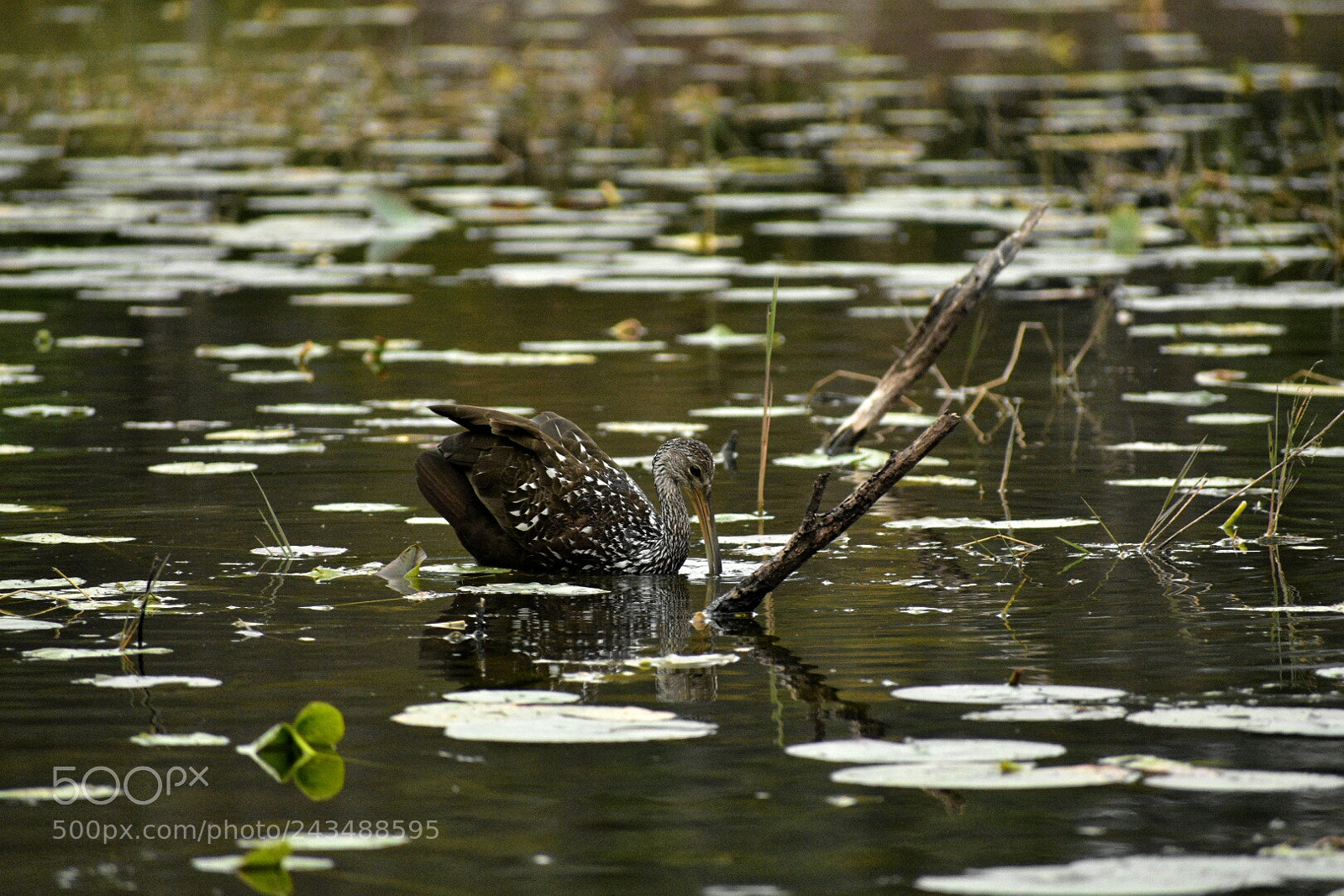 Nikon D3400 sample photo. Untitled photography