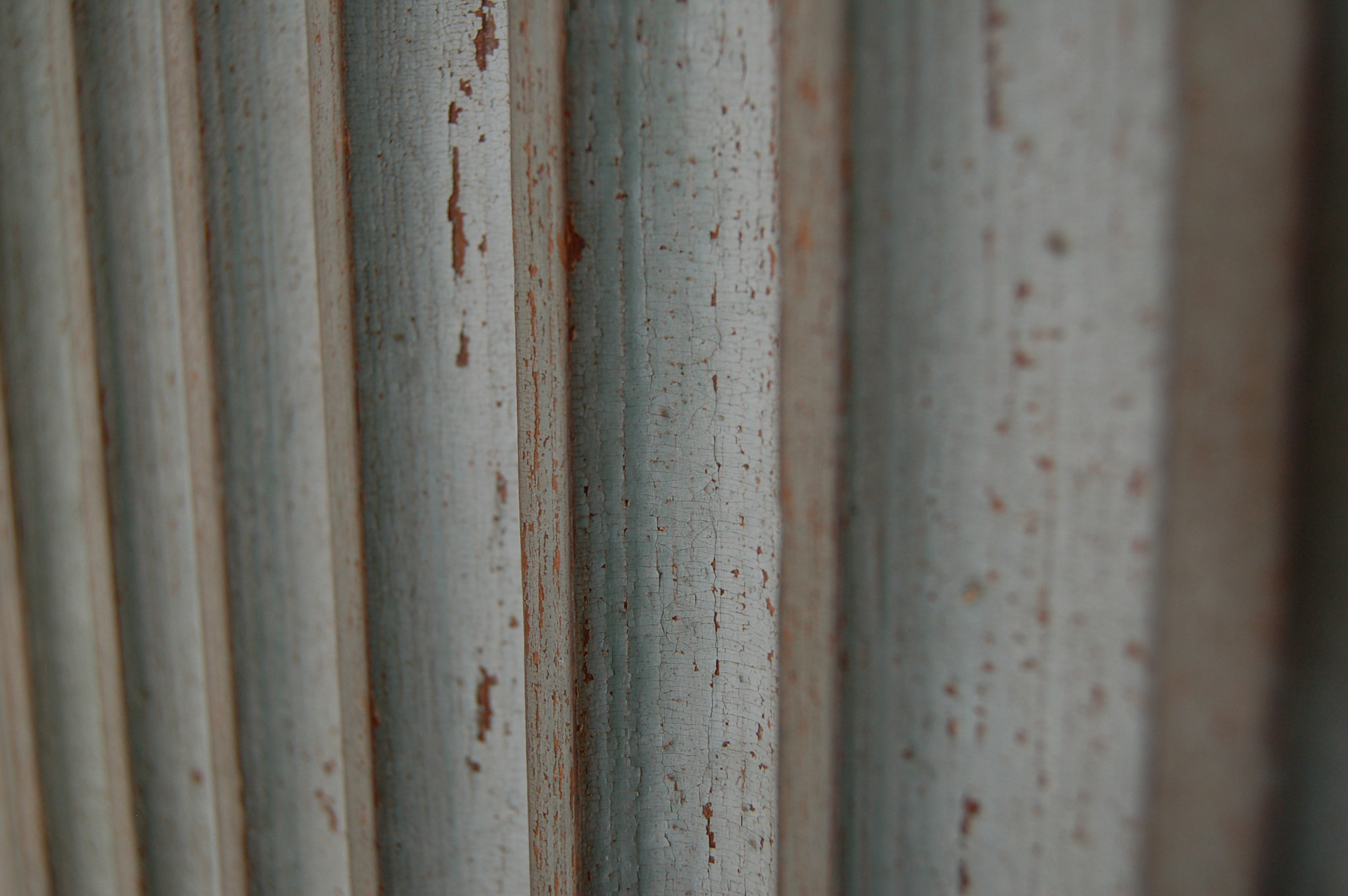 Nikon D50 sample photo. Shutters photography