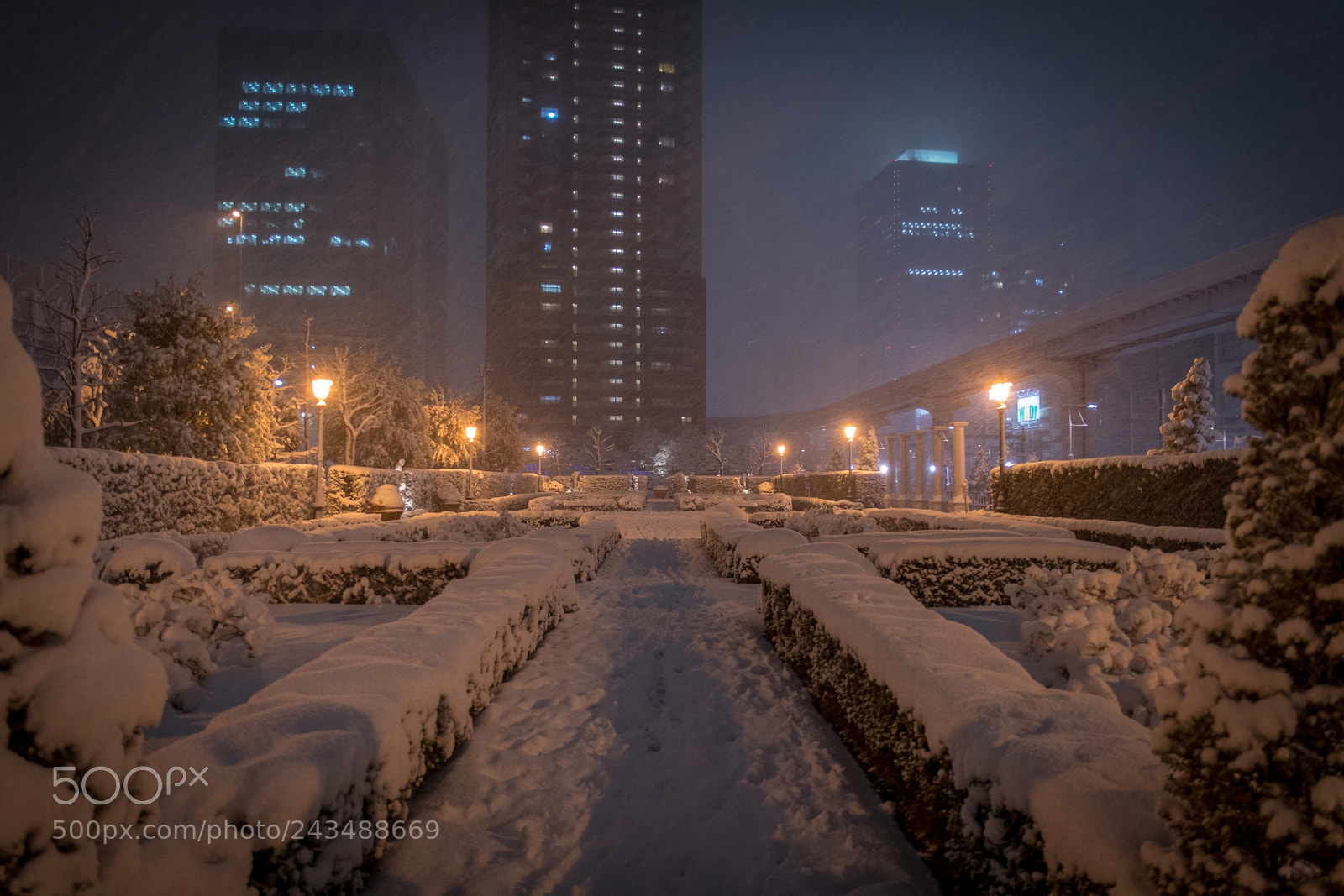 Nikon D500 sample photo. Tokyo blizzard photography