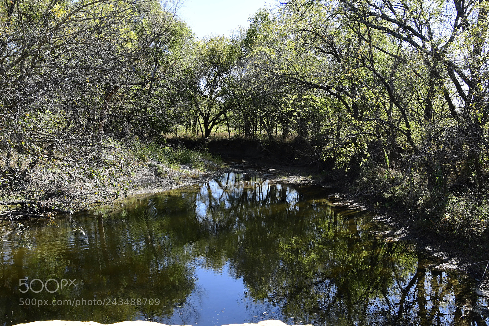 Nikon D500 sample photo. Warm weather in kansas photography
