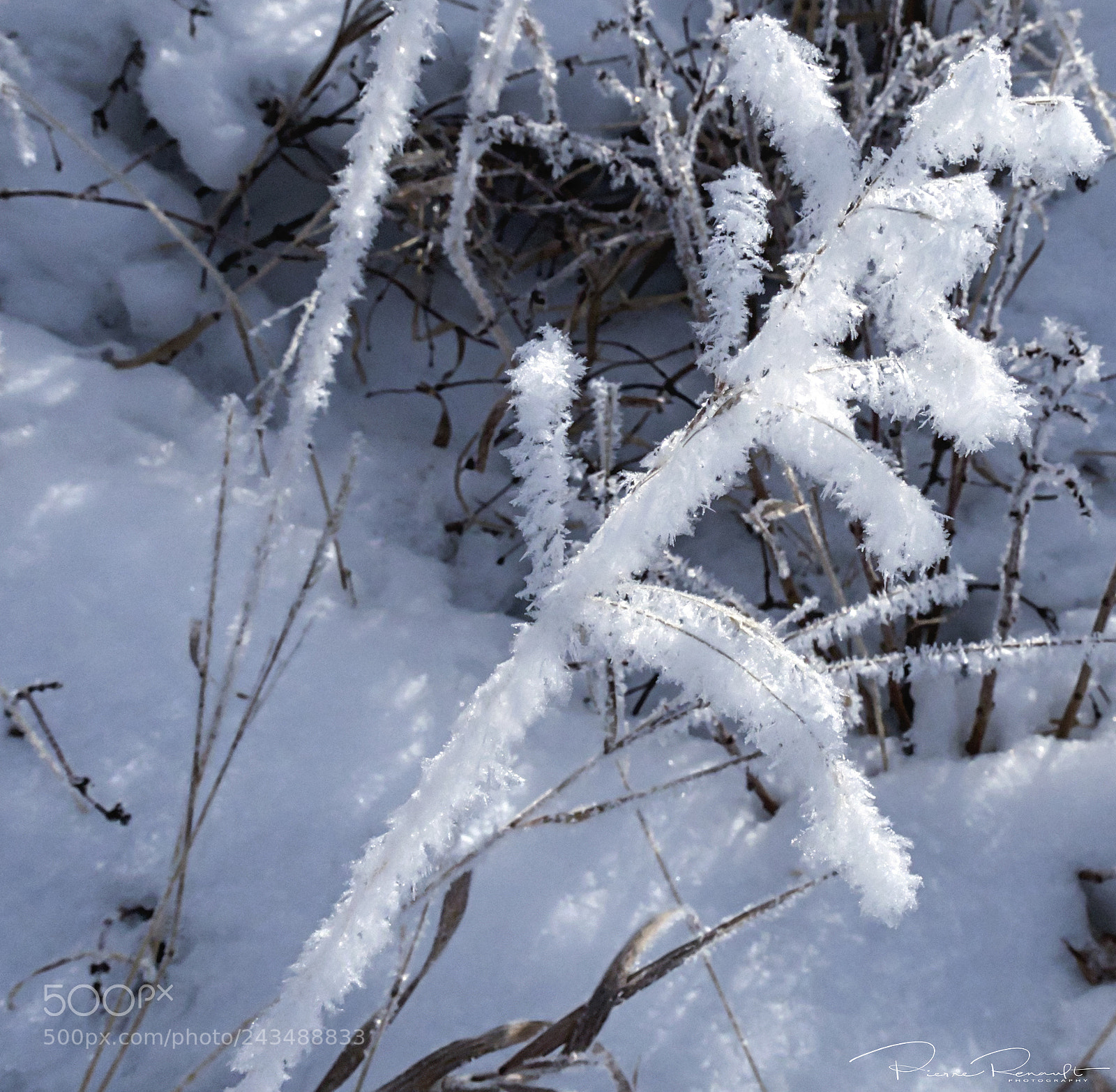 Panasonic Lumix DMC-GH4 sample photo. Frost painting photography