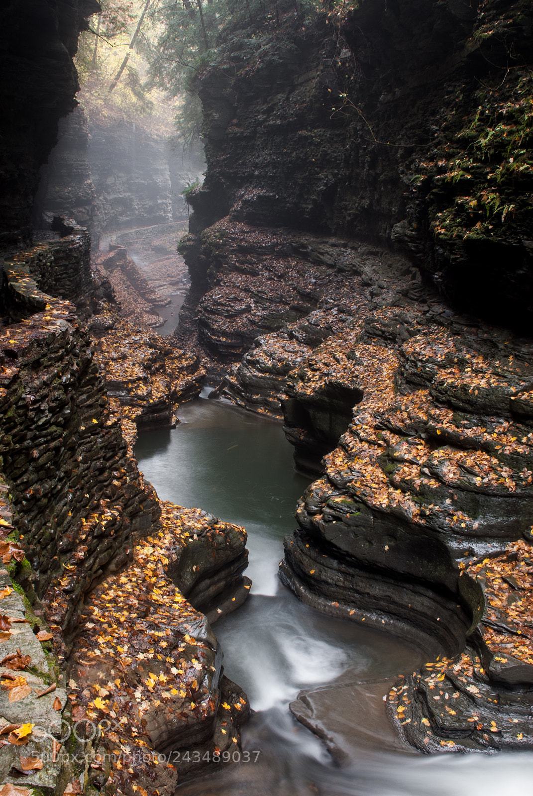 Nikon D200 sample photo. Waterfalls in watkins glen photography