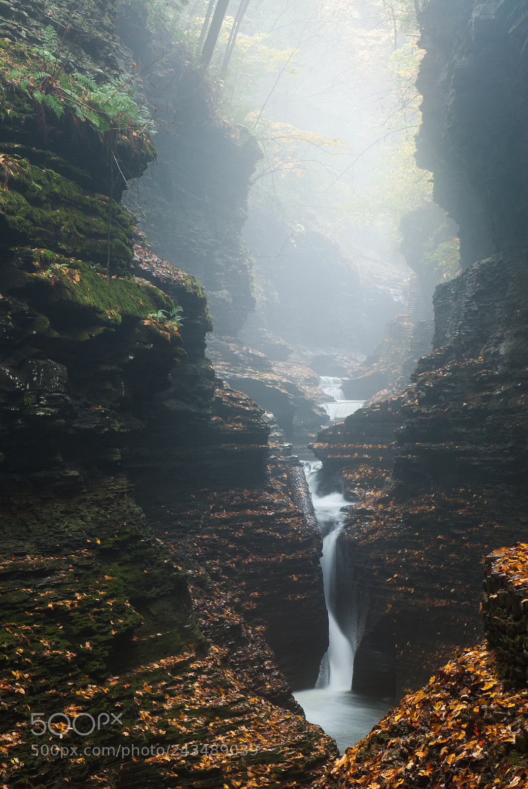 Nikon D200 sample photo. Waterfalls in watkins glen photography