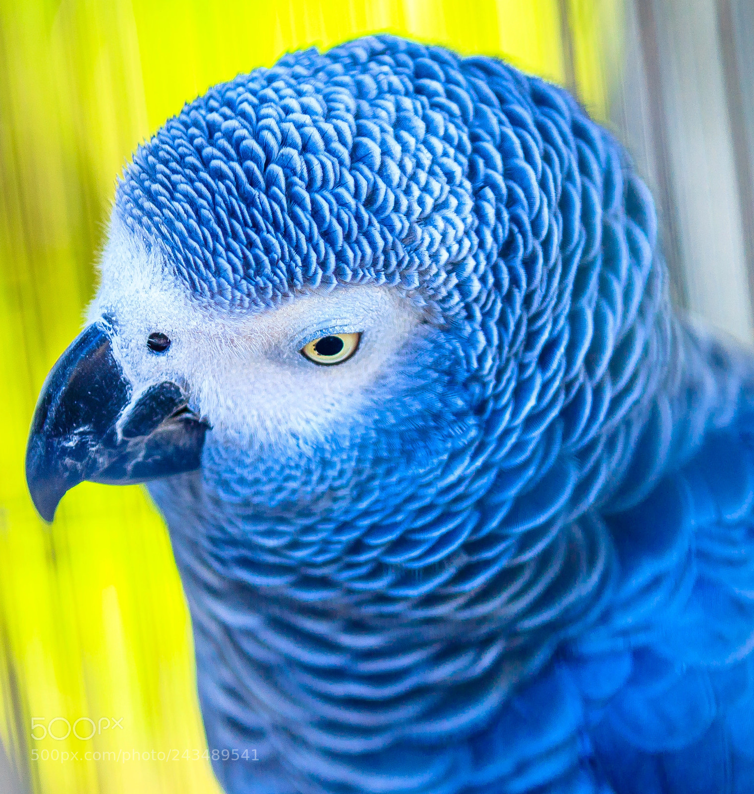 Canon EOS 5DS R sample photo. Untitled photography