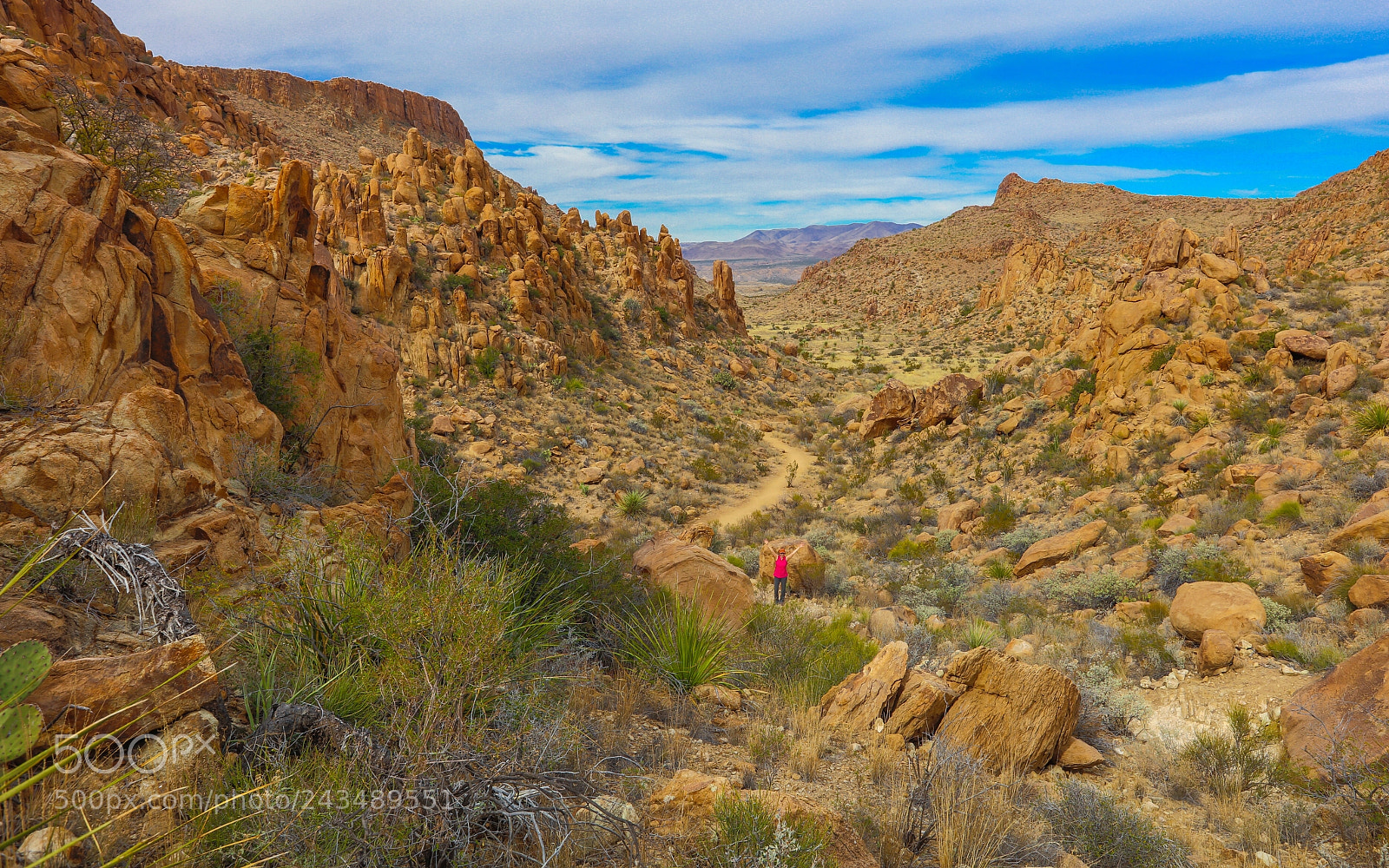 Canon EOS 5DS R sample photo. Untitled photography