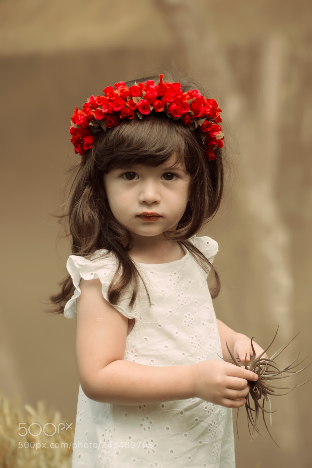 Nikon D3100 sample photo. Ol via foto ana photography