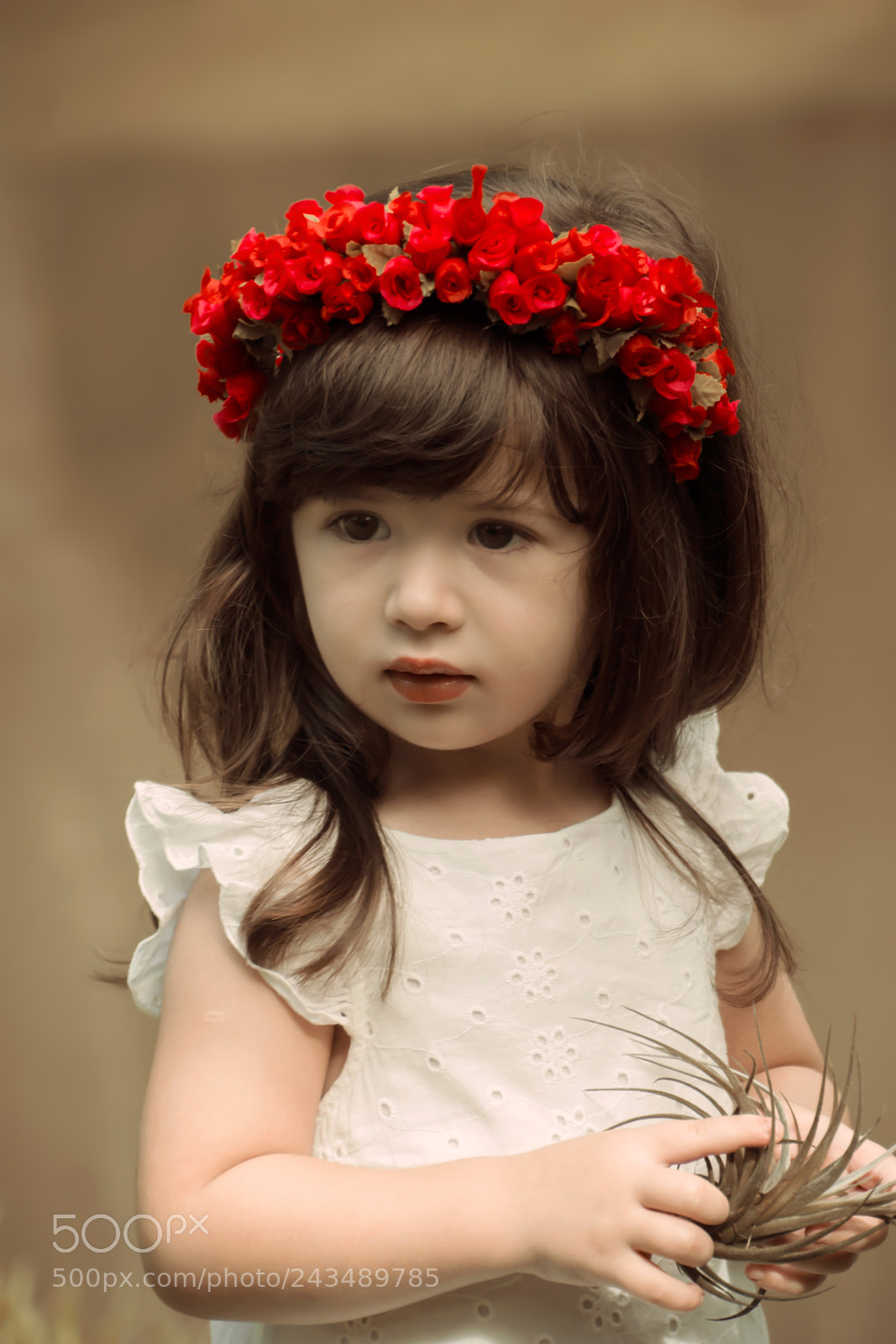 Nikon D3100 sample photo. Ol via foto ana photography