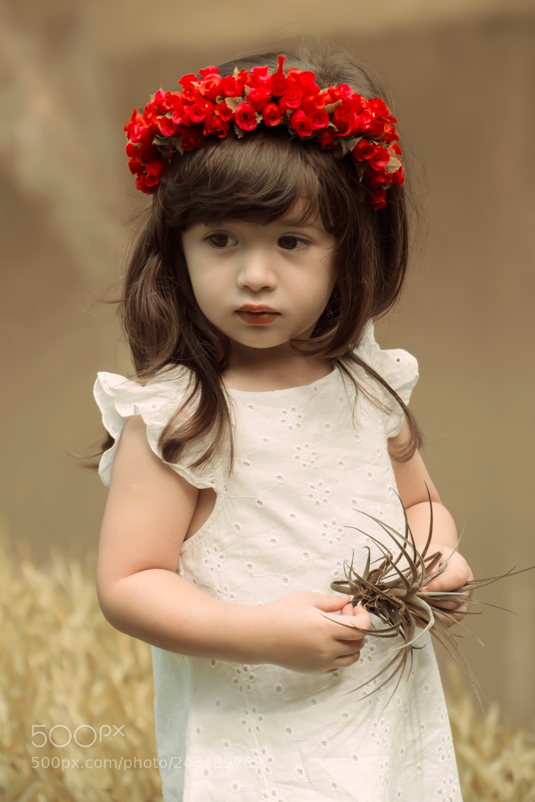 Nikon D3100 sample photo. Ol via foto ana photography