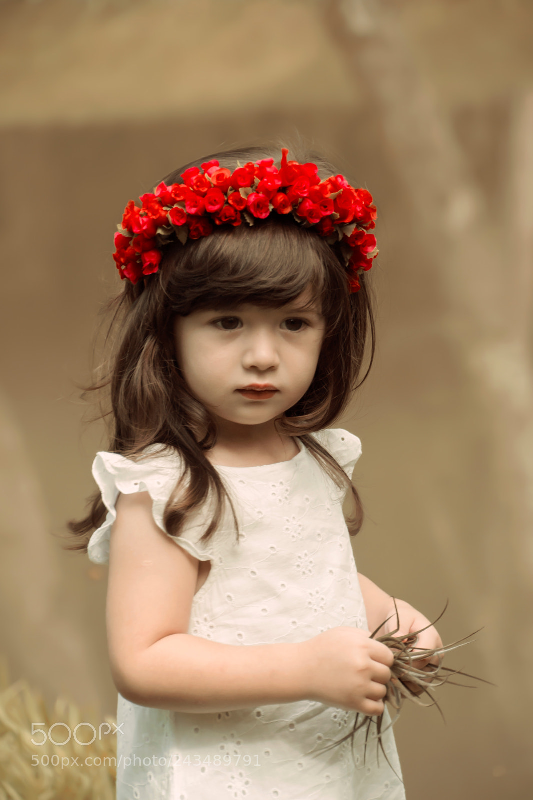 Nikon D3100 sample photo. Ol via foto ana photography