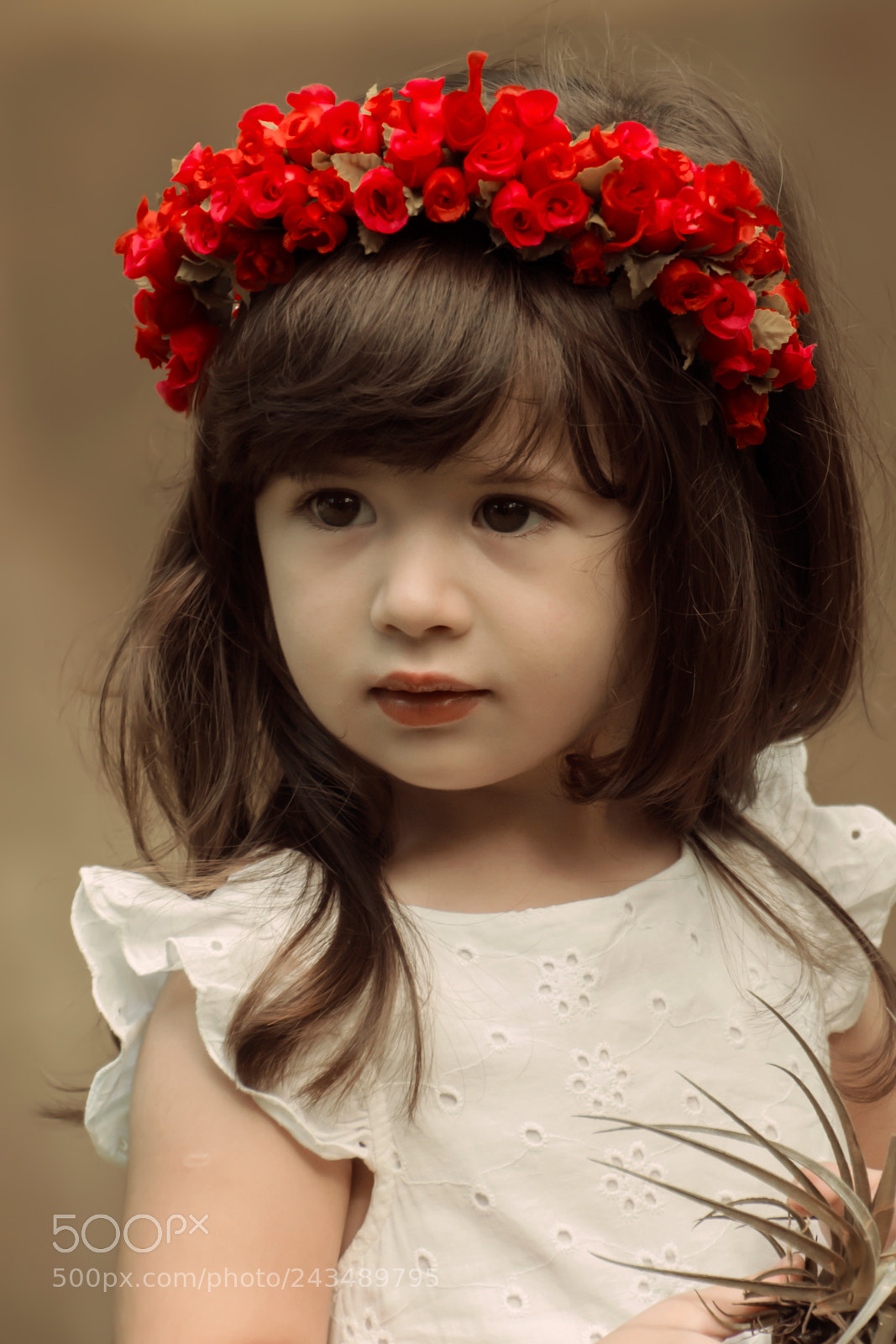 Nikon D3100 sample photo. Ol via foto ana photography