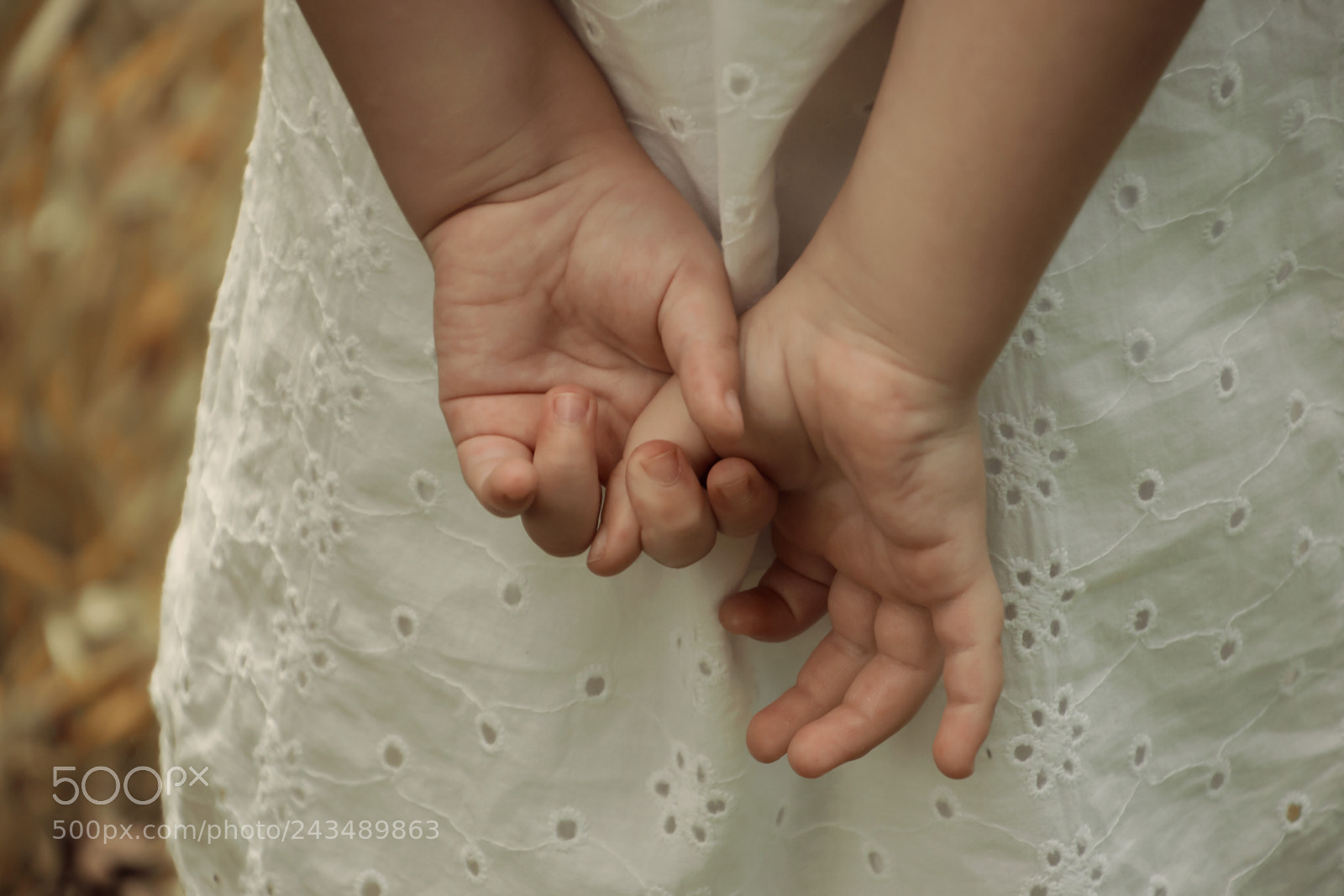 Nikon D3100 sample photo. Ol via foto ana photography