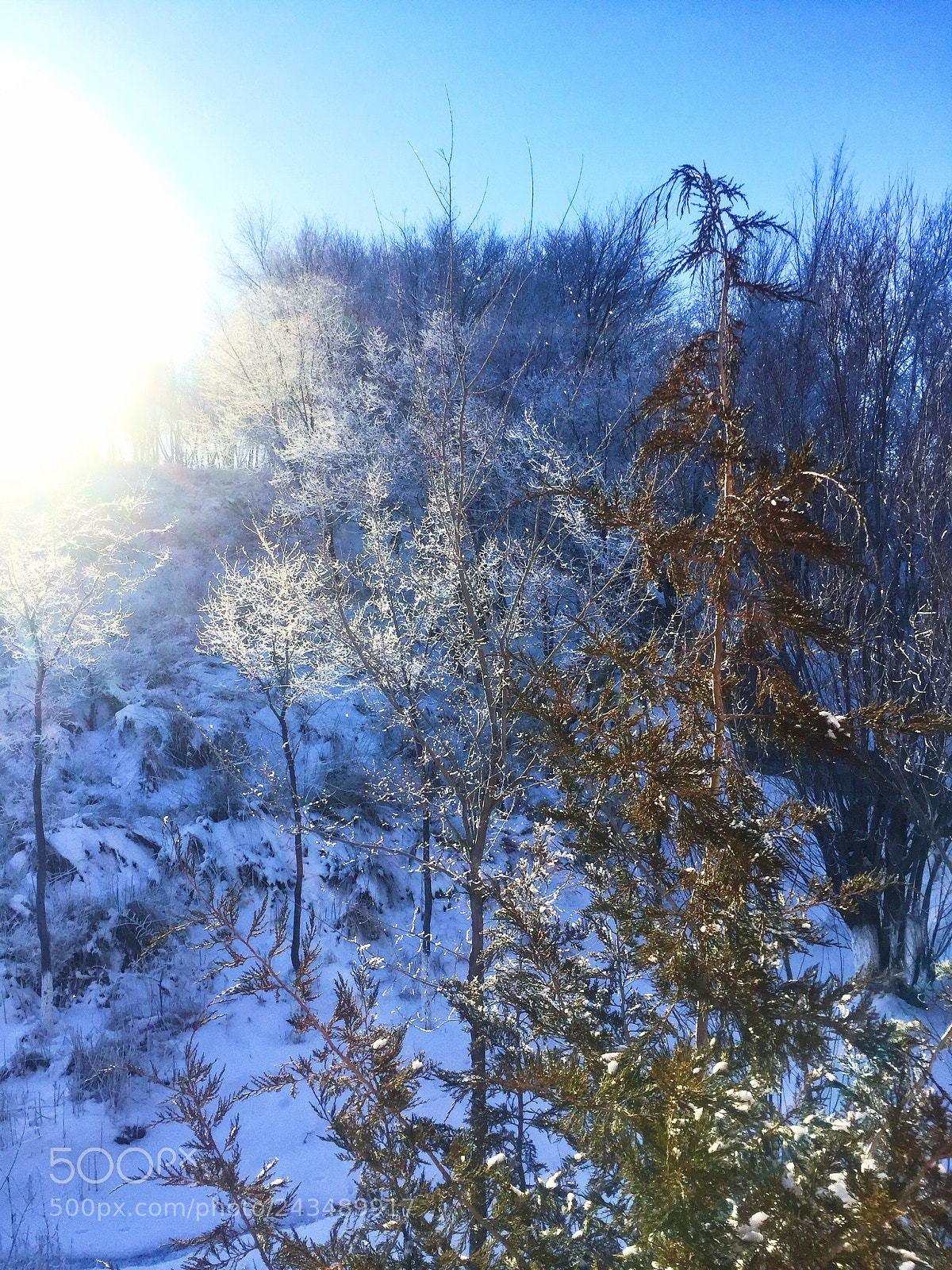 Apple iPhone 6 sample photo. Wonderful time, isn t photography