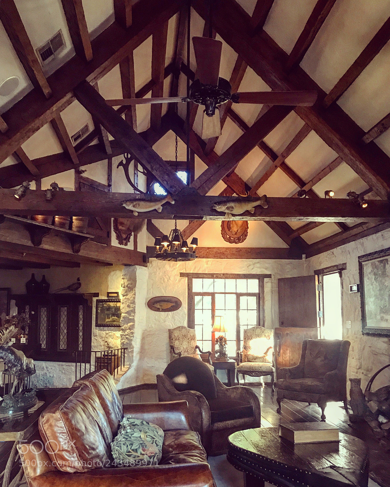 Apple iPhone 7 Plus sample photo. Worman house, big cedar photography