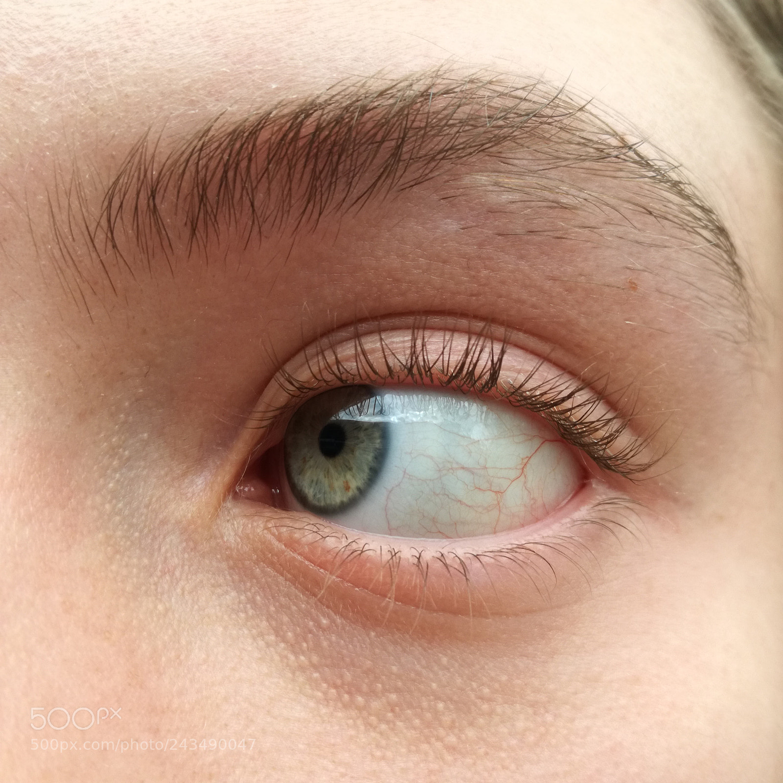 HUAWEI P9 LITE sample photo. Untitled photography