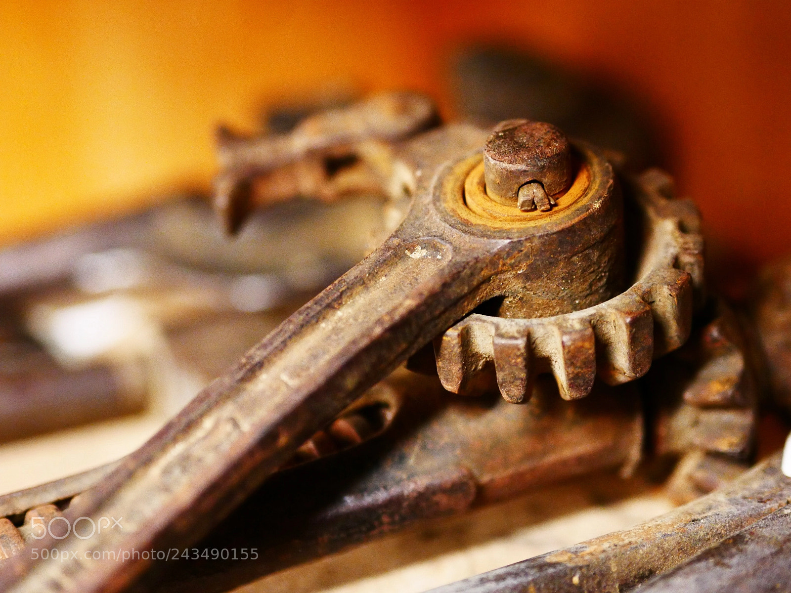 Panasonic Lumix DMC-GX85 (Lumix DMC-GX80 / Lumix DMC-GX7 Mark II) sample photo. Prehistoric ratchet photography