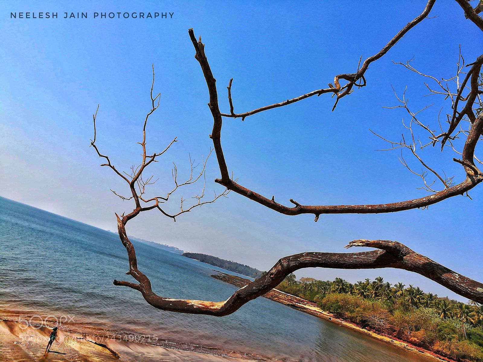 HUAWEI honor 6x sample photo. Untitled photography