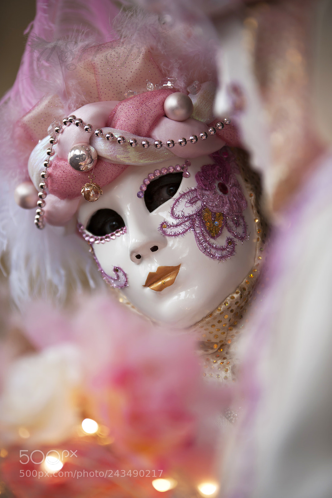 Nikon D700 sample photo. Carnaval a venise photography