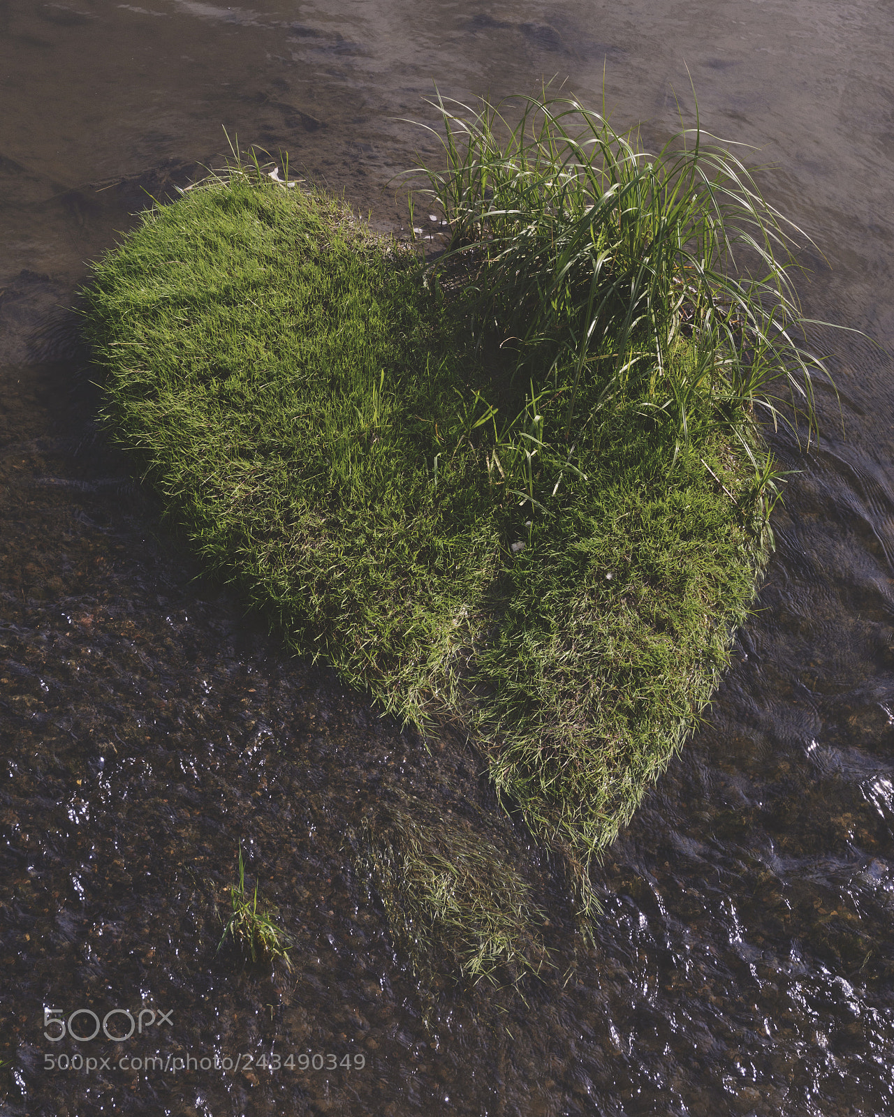 Nikon D7100 sample photo. Nature's heart photography