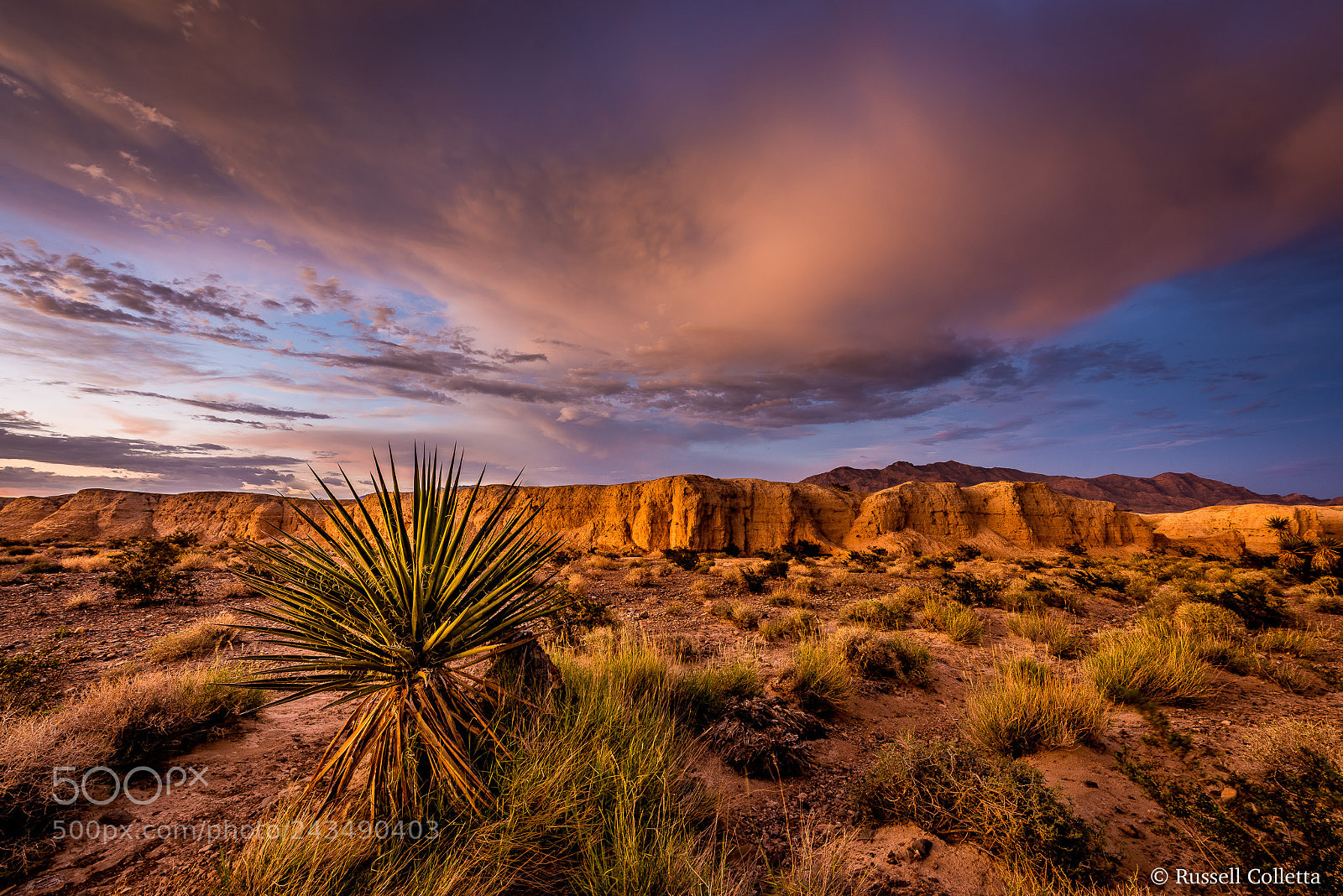 Nikon D810 sample photo. Ancient land photography