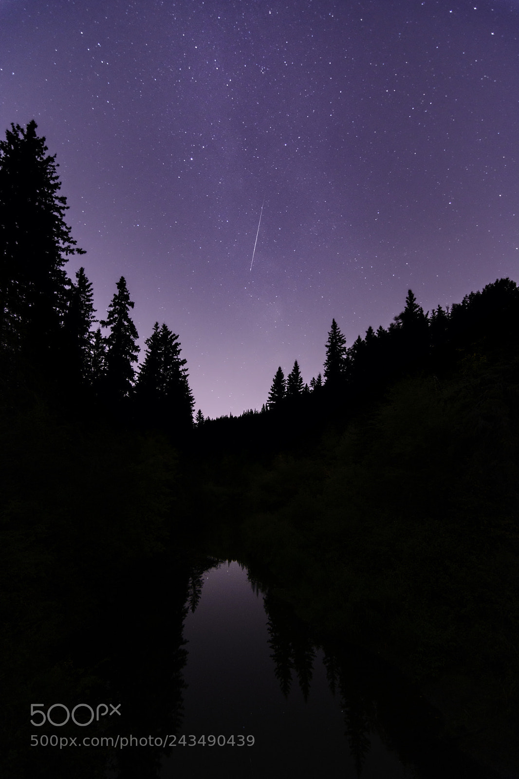 Nikon D7100 sample photo. Forest's reflection photography