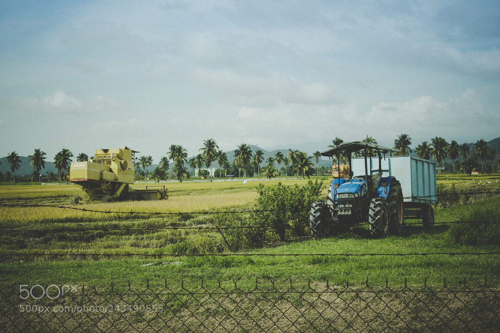 Nikon D3400 sample photo. Behind the agrobank photography