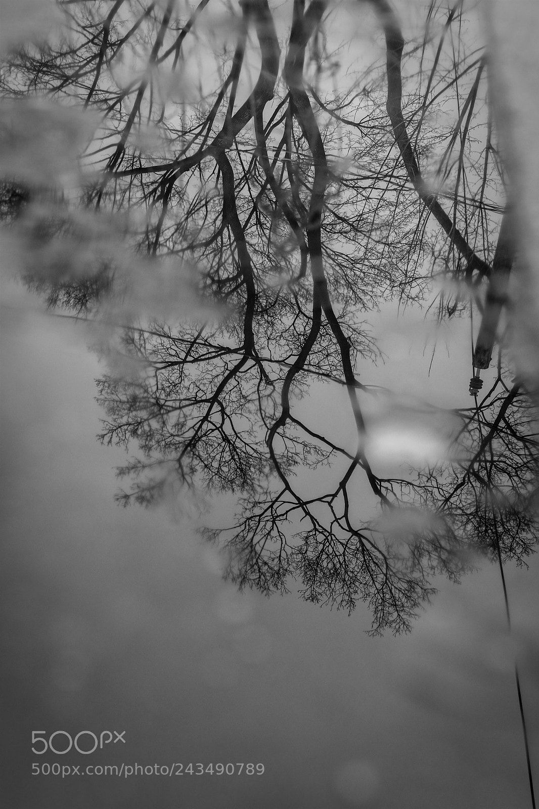 Canon EOS 750D (EOS Rebel T6i / EOS Kiss X8i) sample photo. Reflection photography