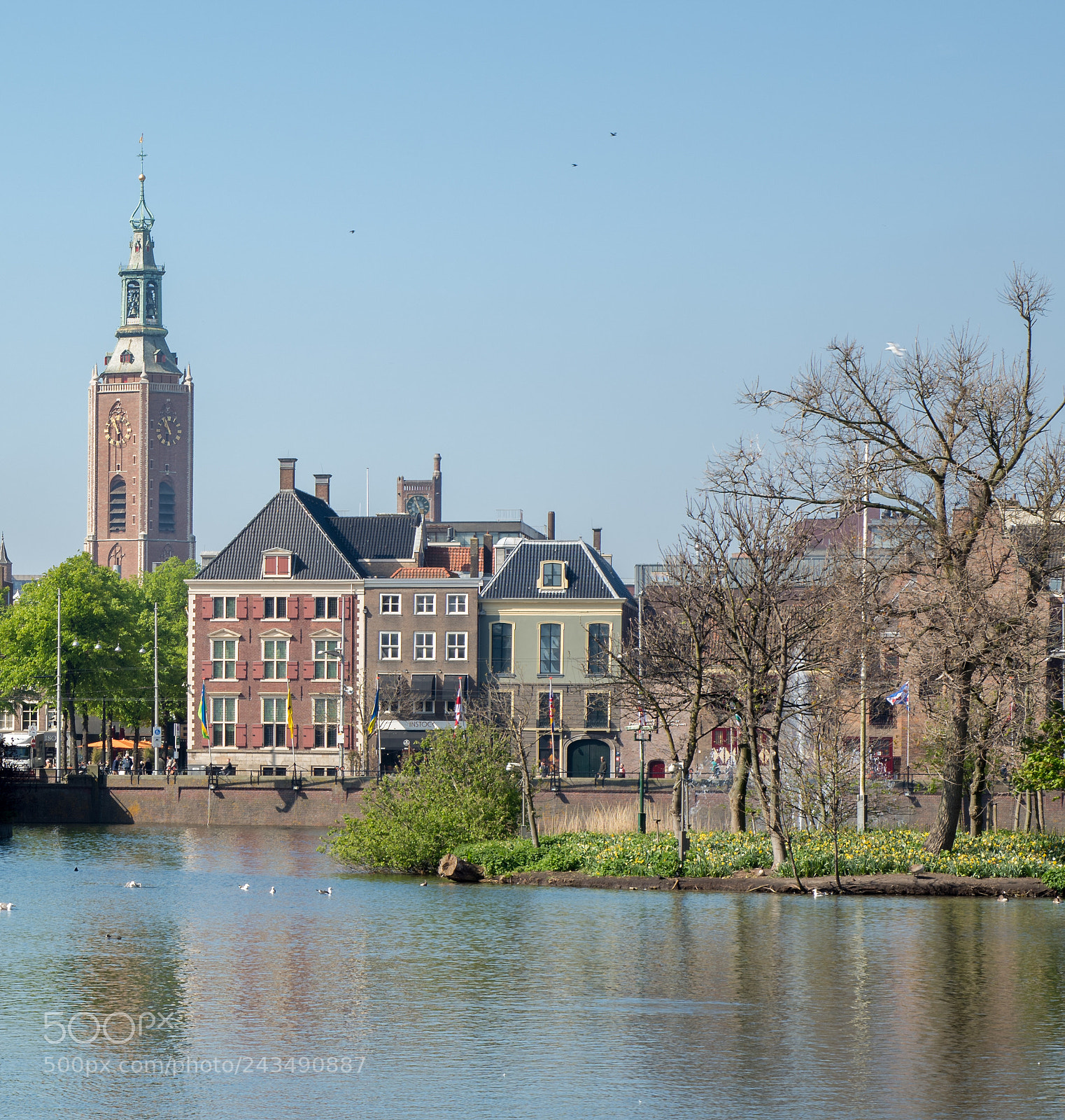 Nikon D810 sample photo. Hague plein photography