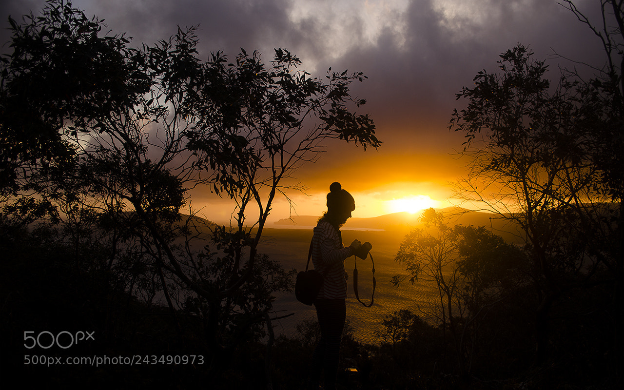 Nikon D5100 sample photo. Three capes sunset photography