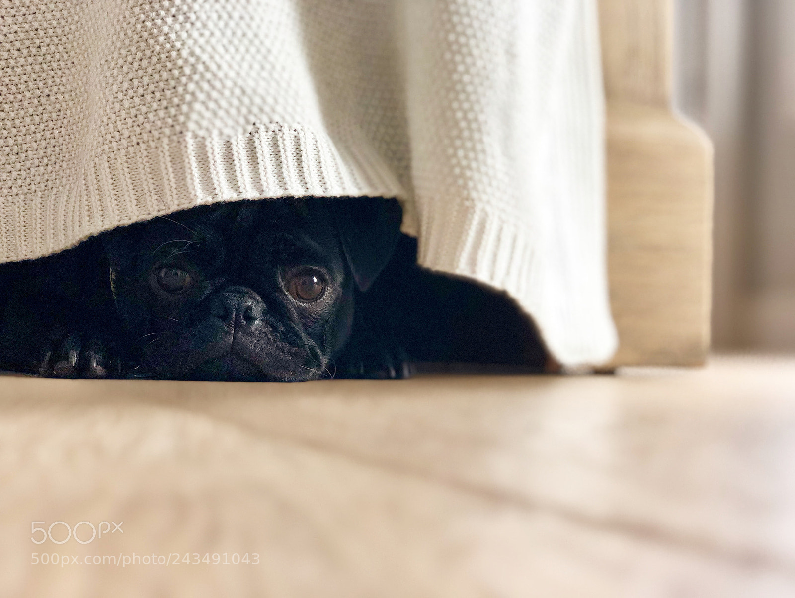 Apple iPhone X sample photo. Img photography