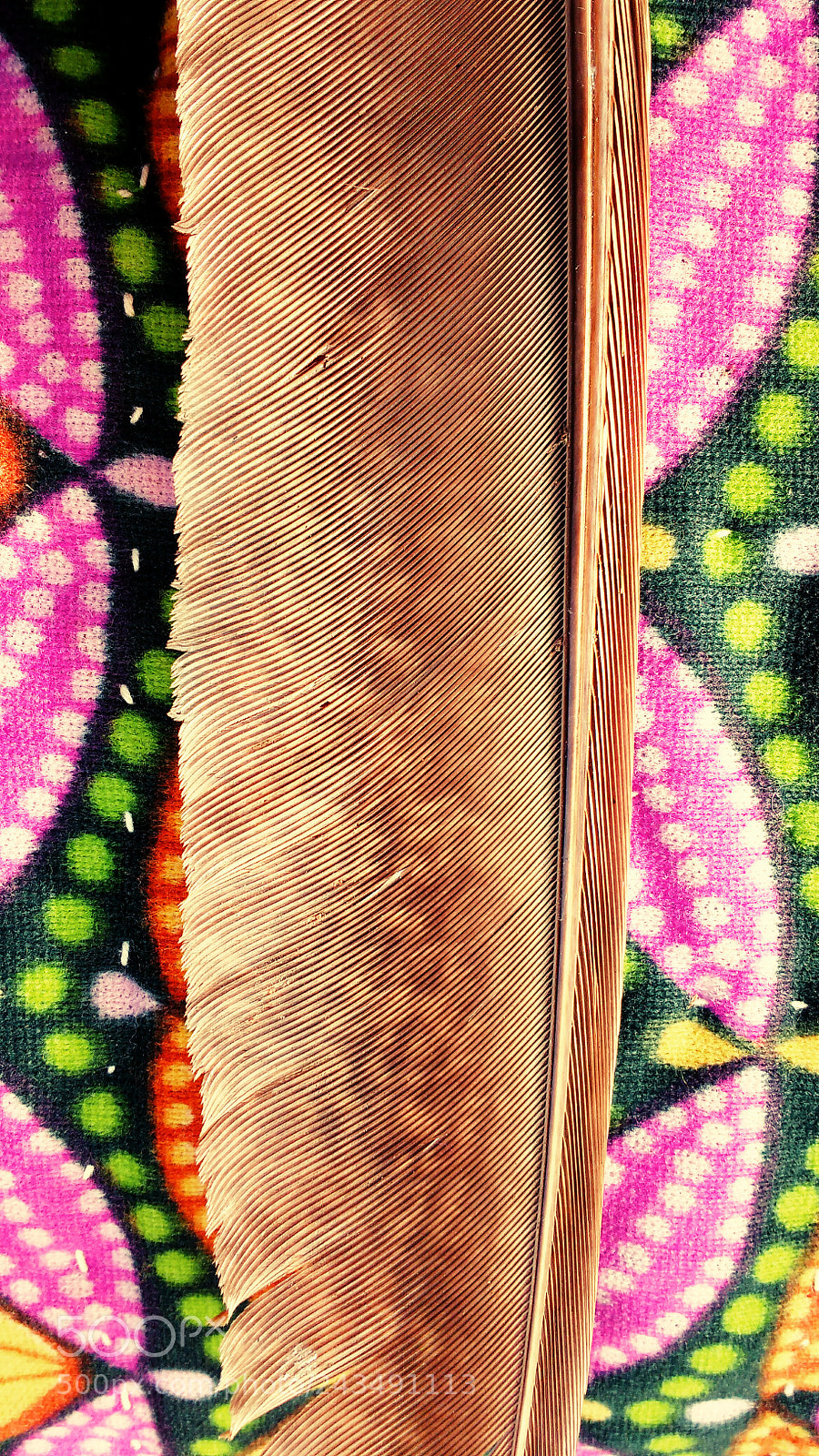 Motorola MotoG3 sample photo. Feather photography