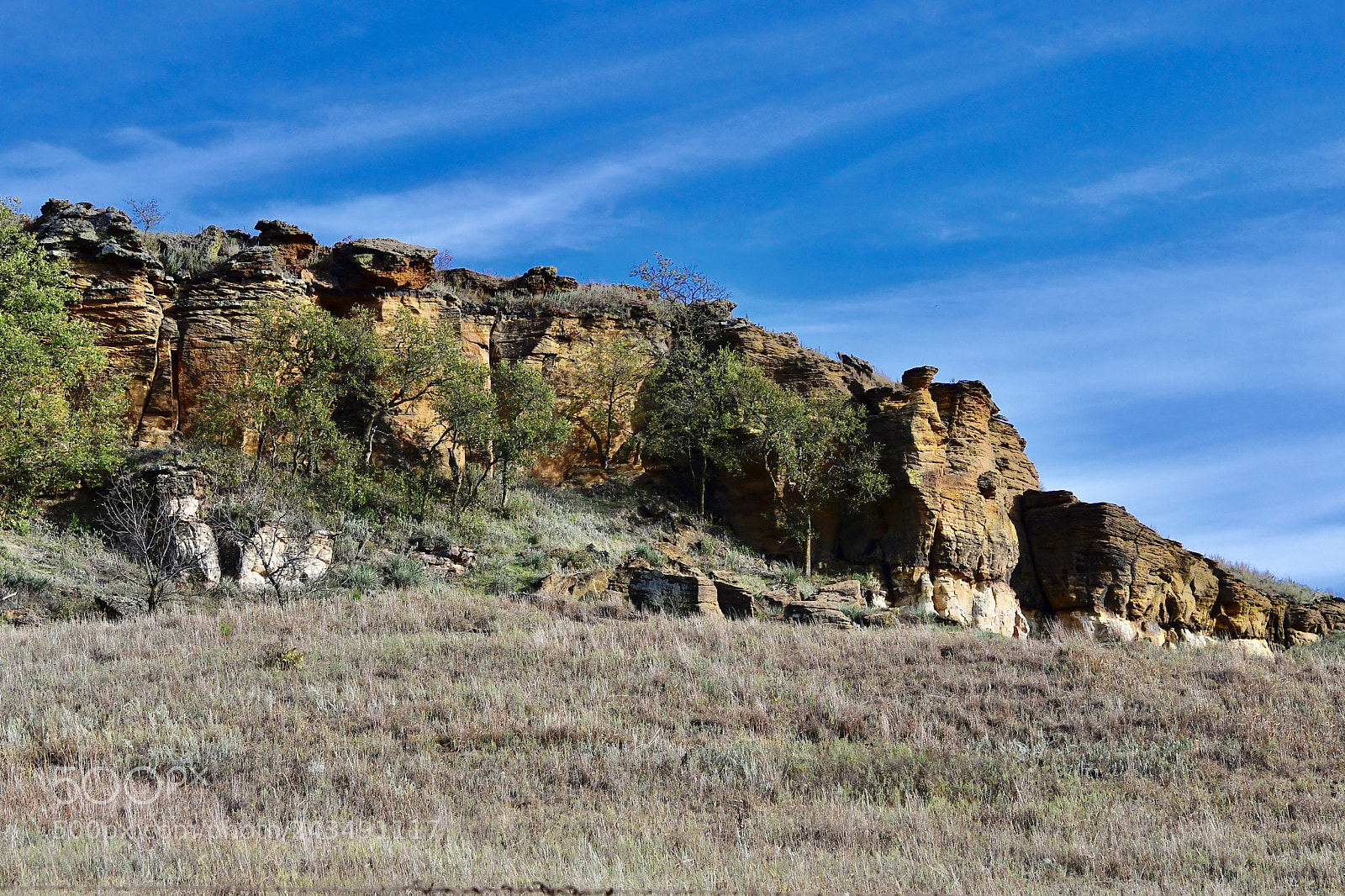 Nikon D500 sample photo. Is this kansas ? photography
