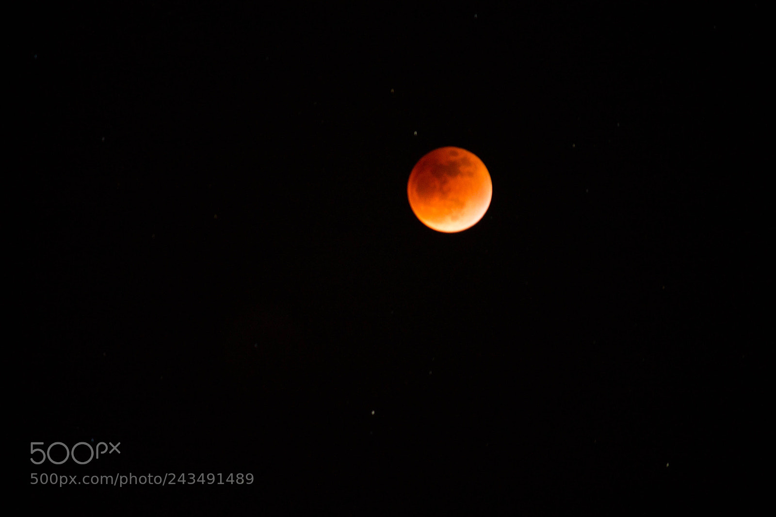 Canon EOS 1100D (EOS Rebel T3 / EOS Kiss X50) sample photo. Blood moon photography