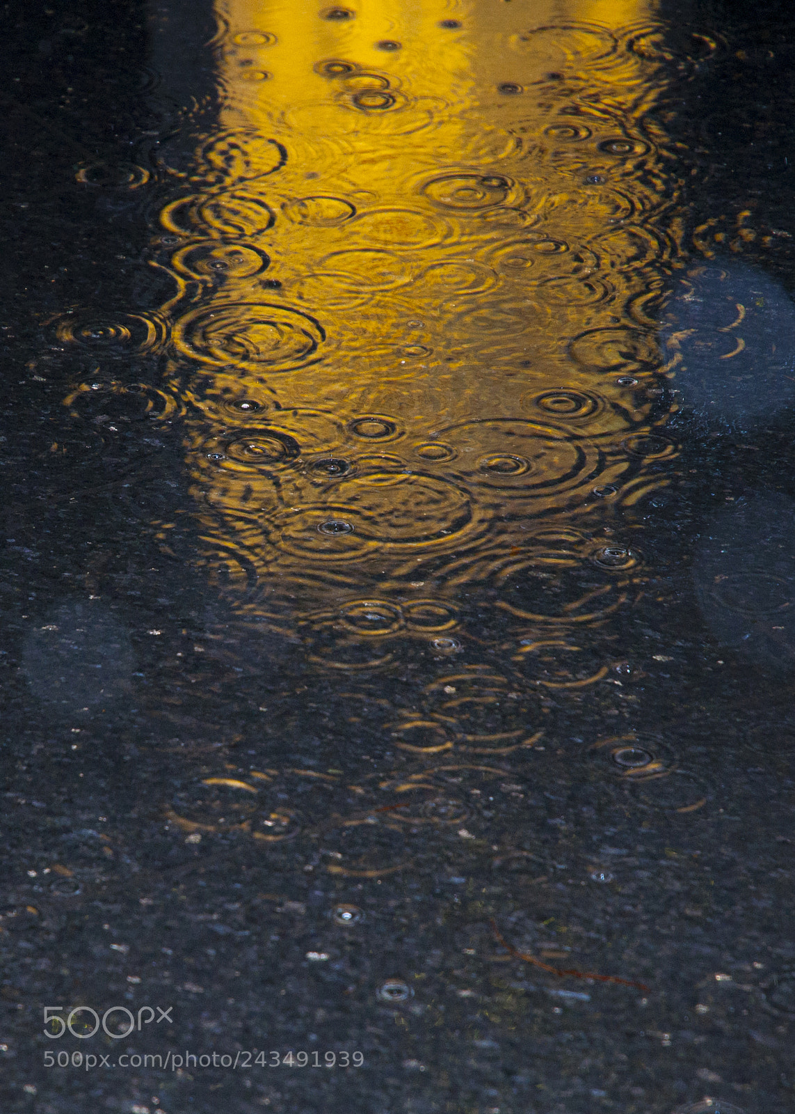 Nikon D90 sample photo. Untitled photography