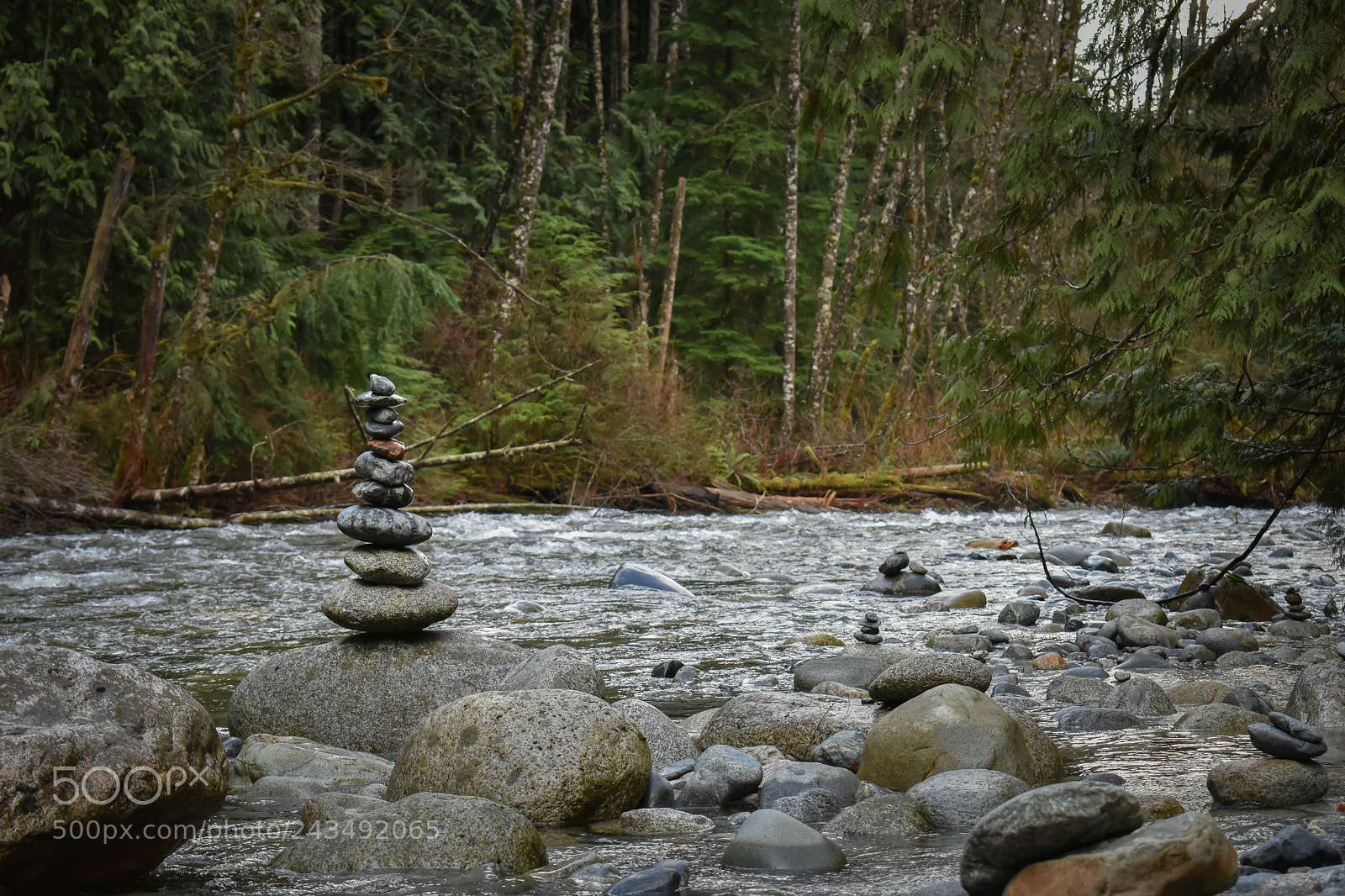 Nikon D3400 sample photo. Winter hike photography