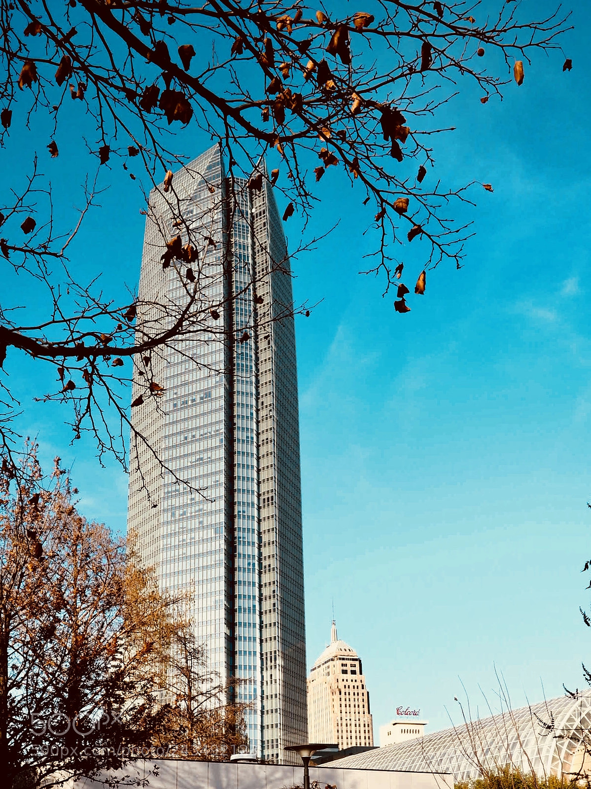 Olympus OM-D E-M5 II sample photo. Tower through the trees photography