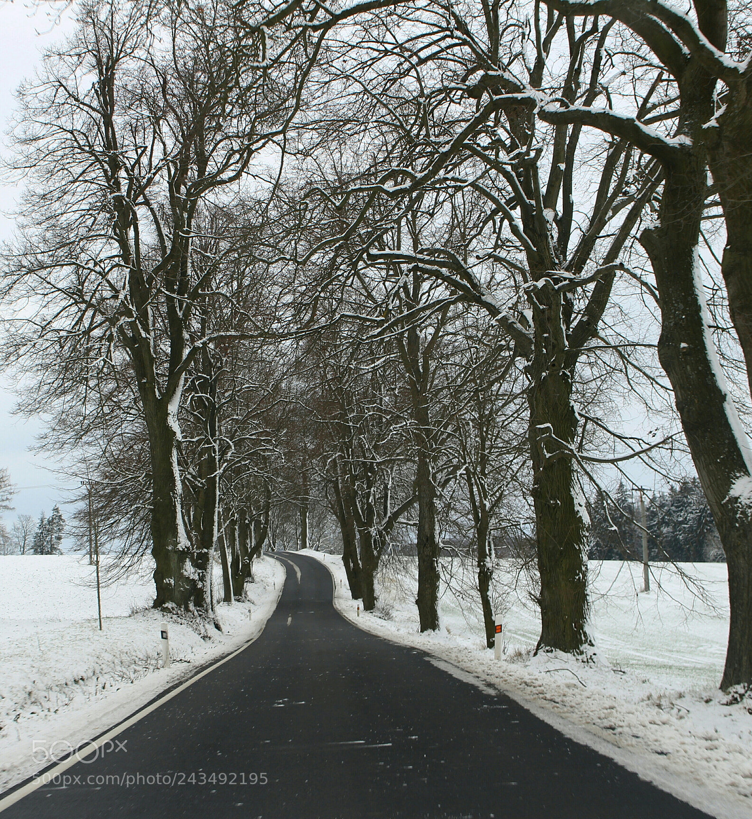 Canon EOS 100D (EOS Rebel SL1 / EOS Kiss X7) sample photo. Road photography