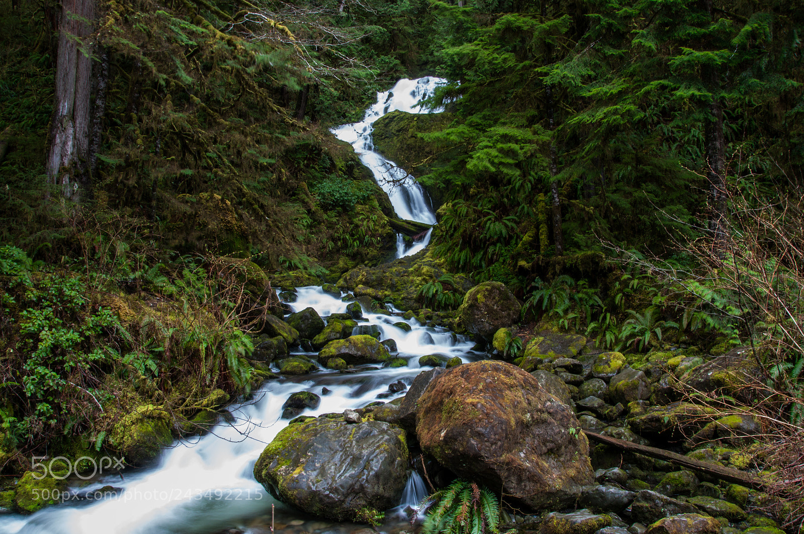 Nikon D90 sample photo. Pacific nat'l park photography