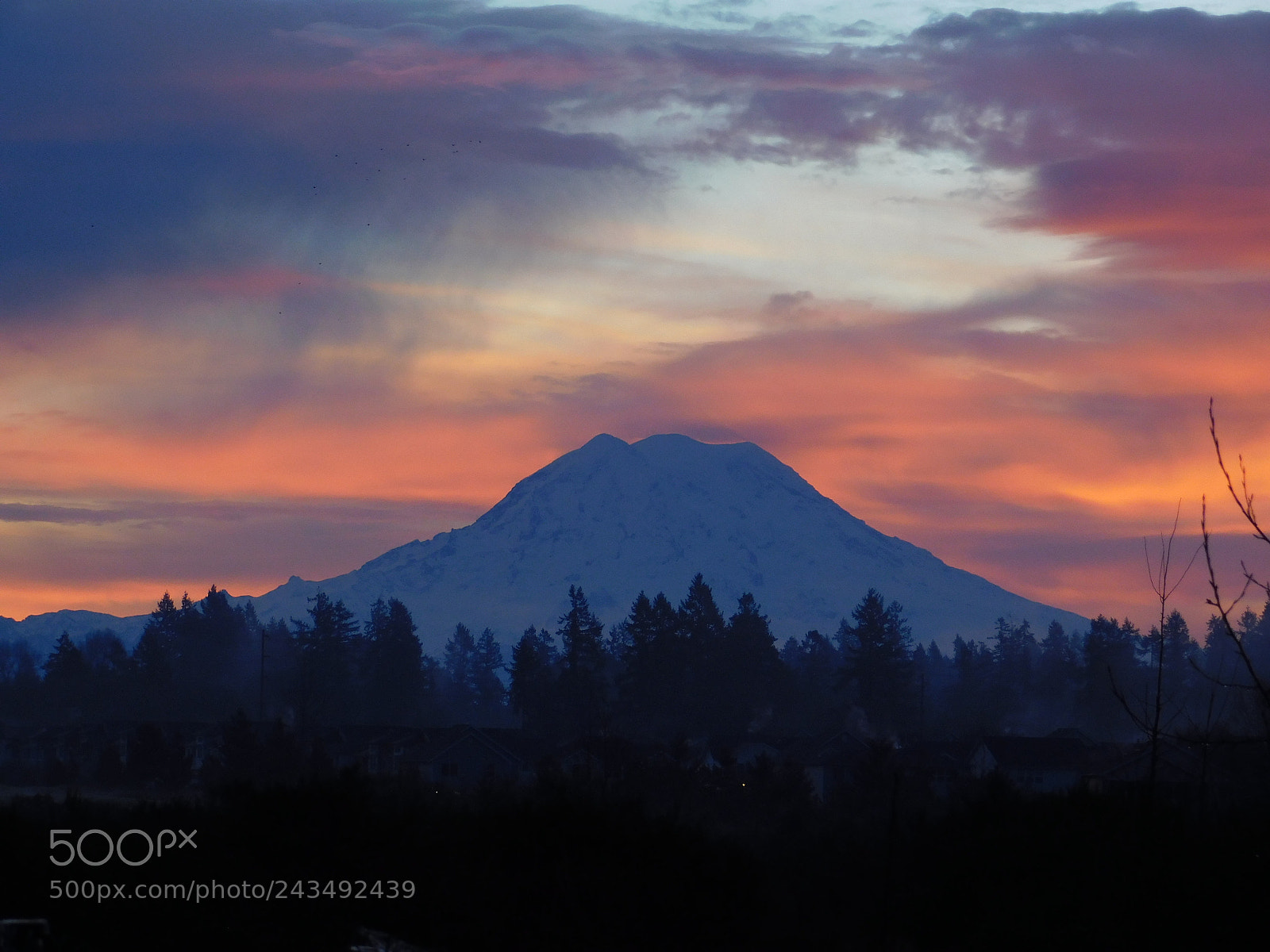 Nikon Coolpix B500 sample photo. Mt ranier photography