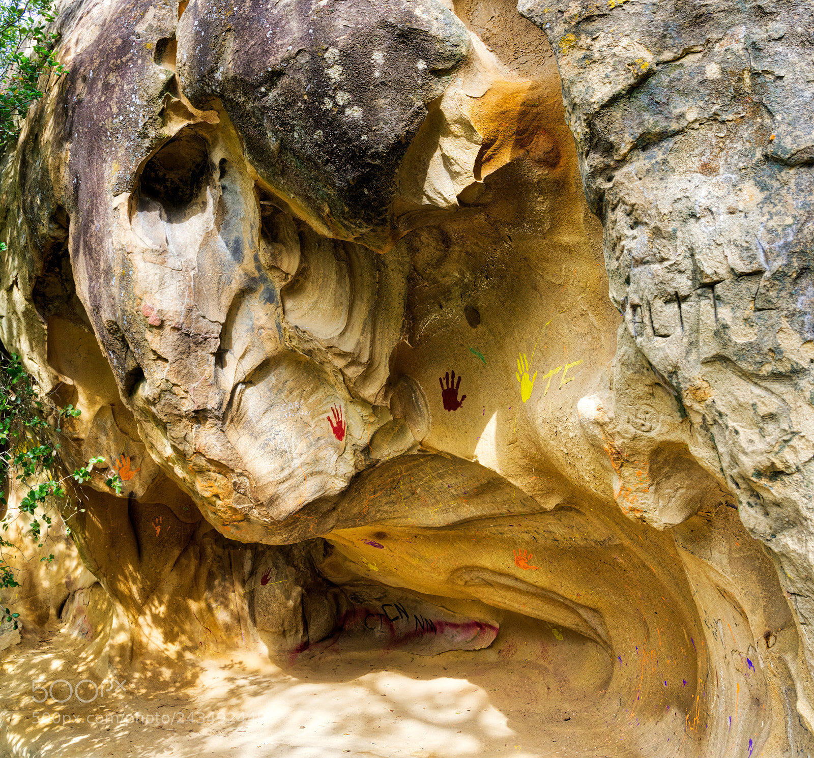 Pentax K-3 II sample photo. I see a bull photography