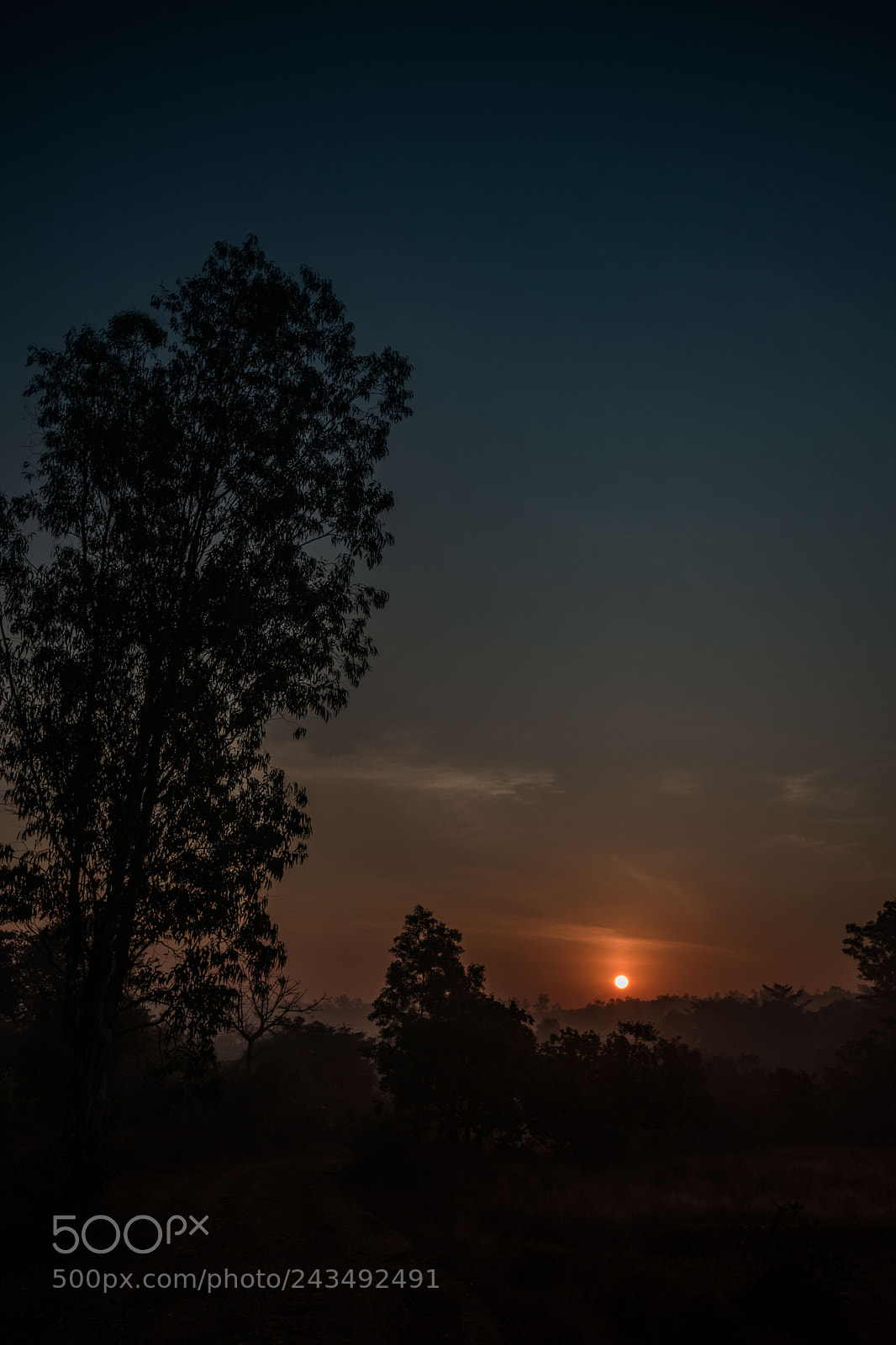 Nikon D5600 sample photo. Magic moment.jpg photography