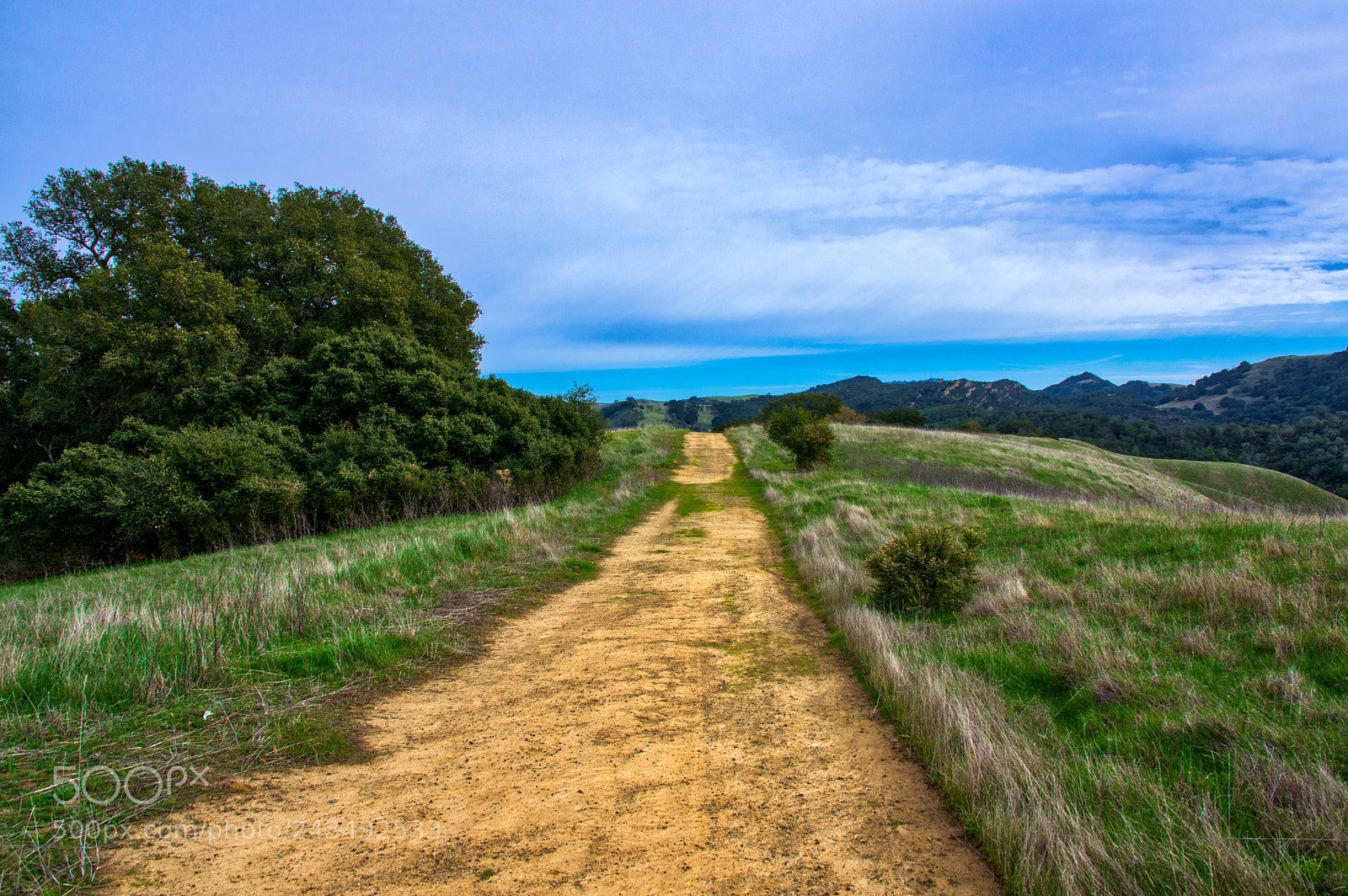 Pentax K-3 II sample photo. Trail photography