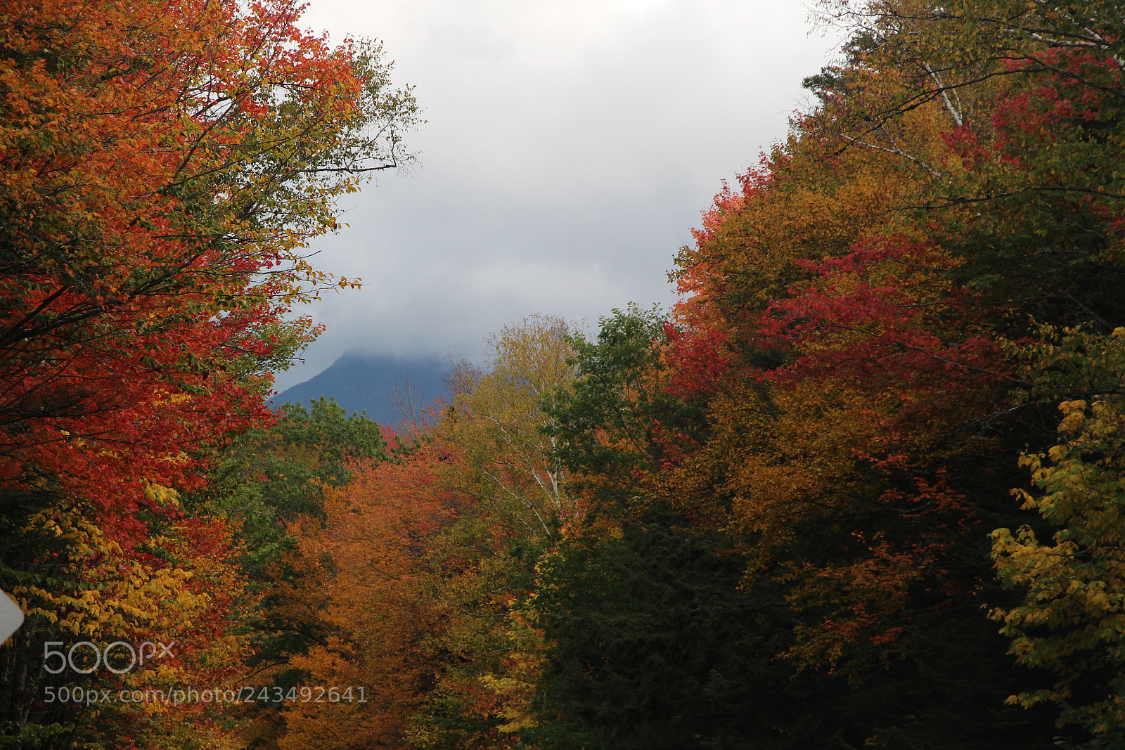 Canon EOS 700D (EOS Rebel T5i / EOS Kiss X7i) sample photo. Colors photography