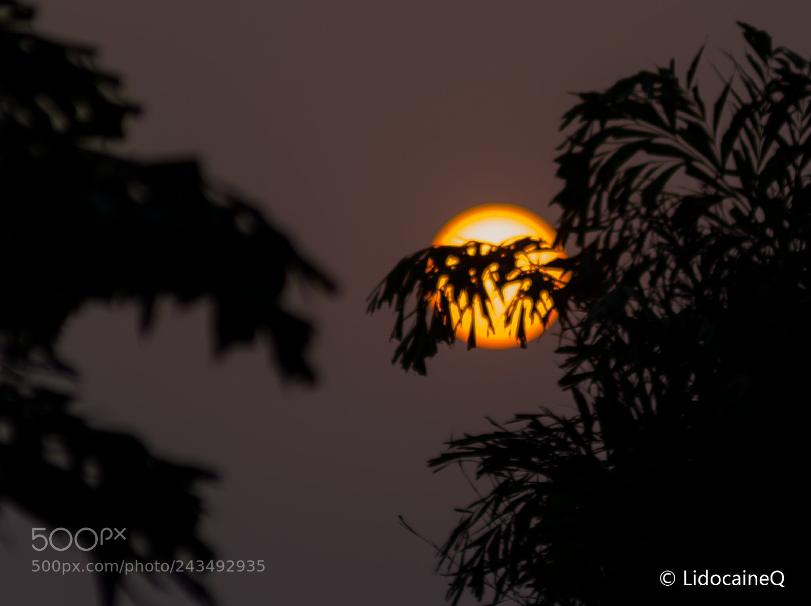 Nikon D610 sample photo. Untitled photography